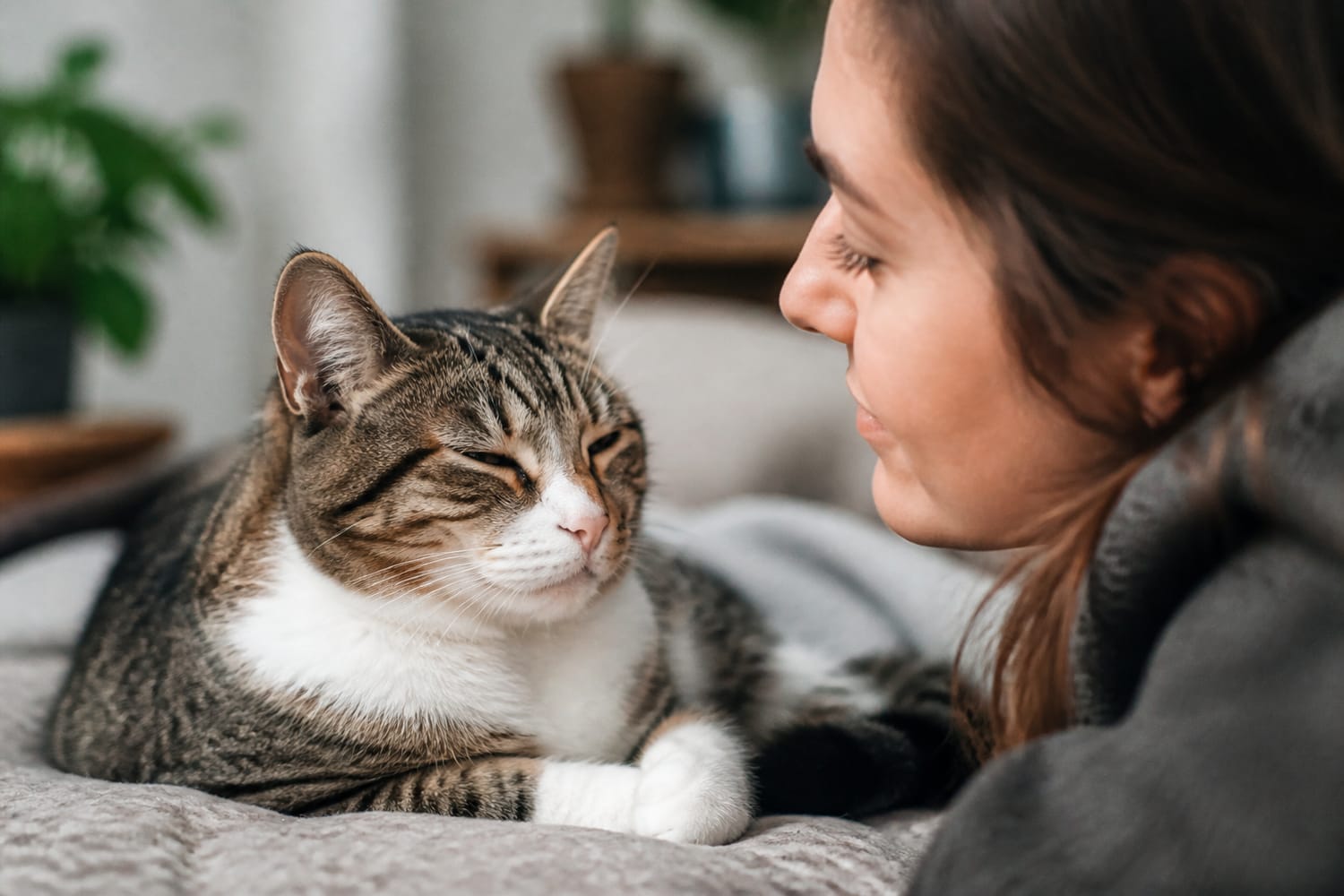 Why Cats Slow-Blink at You: The Science Behind This Feline Love Signal