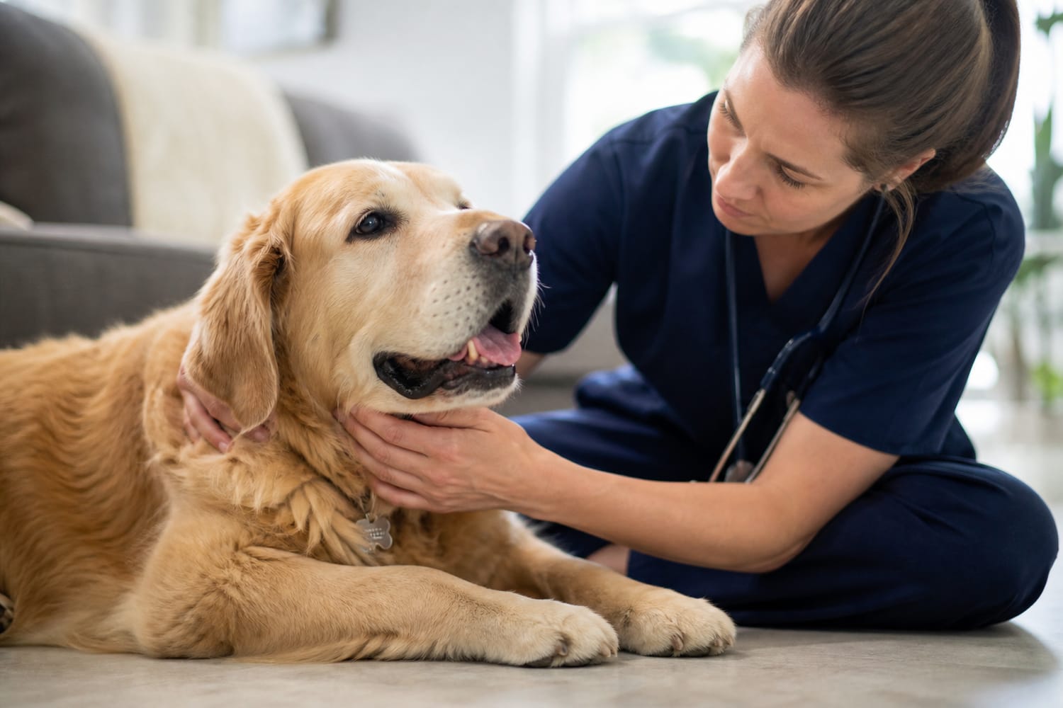 Breathing Problems in Dogs and Cats: What’s Normal, What’s Not, and When to Act