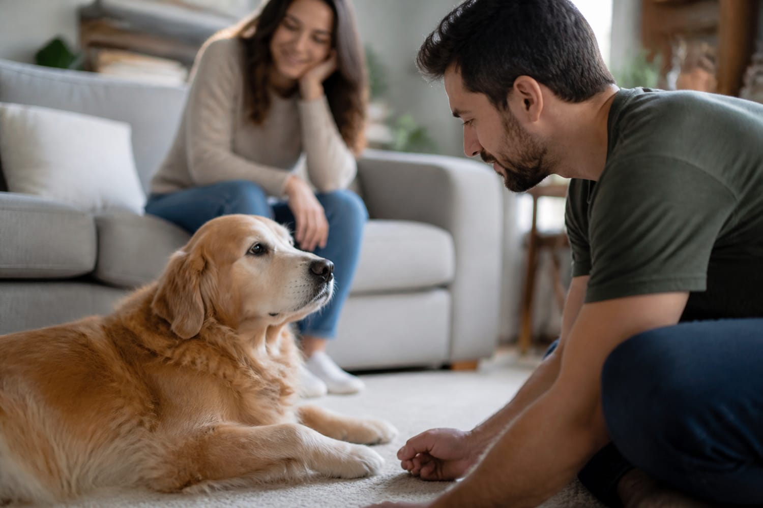 Your Pet Doesn’t Like Your Partner? How to Help Them Build Trust Without Forcing It
