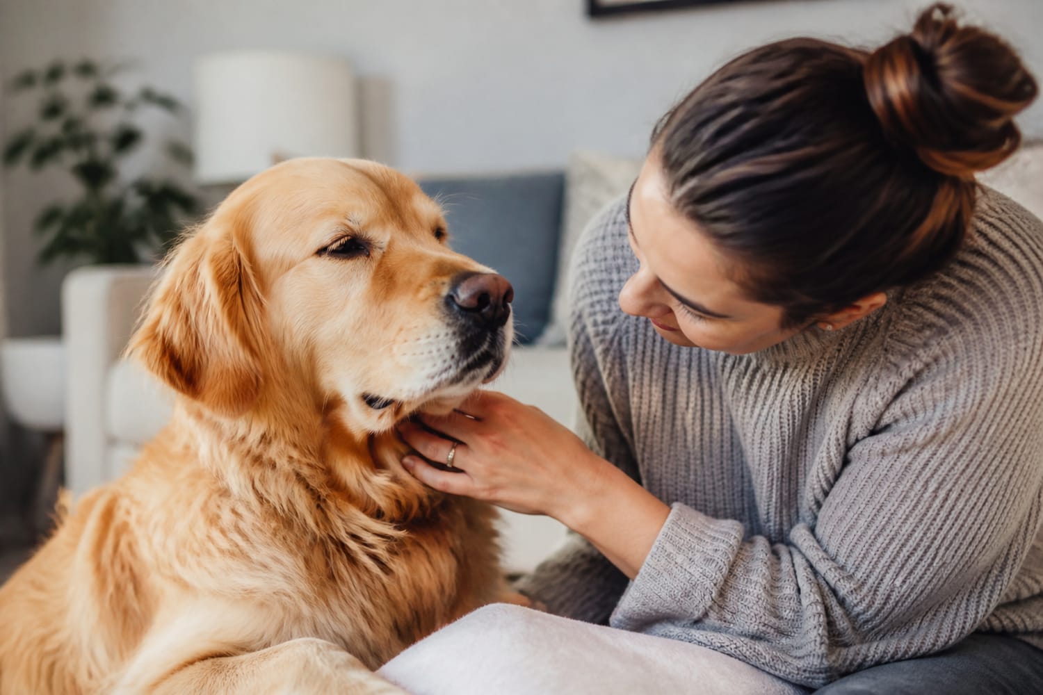 The “How to Love Me” Card: A One-Page Guide to Your Pet’s Favorites, Boundaries, and Quirks