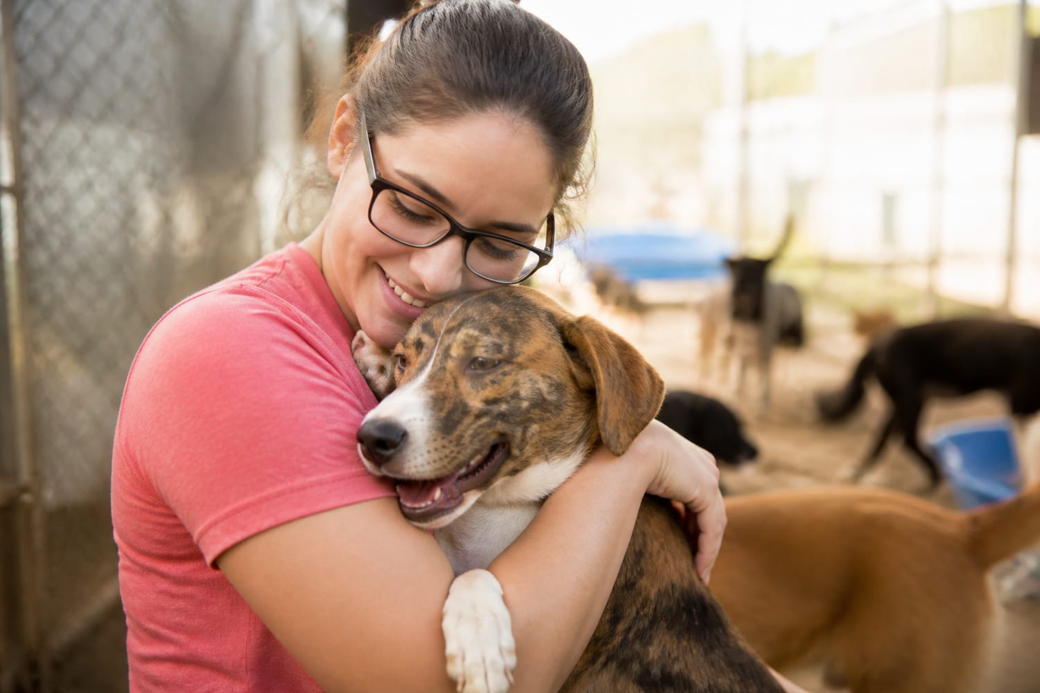 The 30-Day Pet Kindness Challenge: Small Acts That Make Life Better for Your Pet and Animals in Your Community