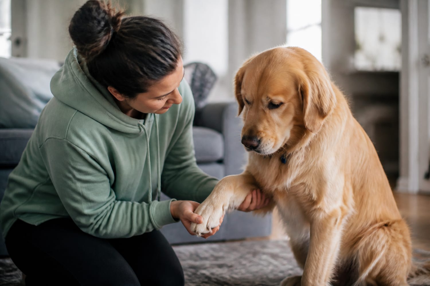 Why Is Your Pet Limping? Common Causes, Home Checks, and When It’s an Emergency