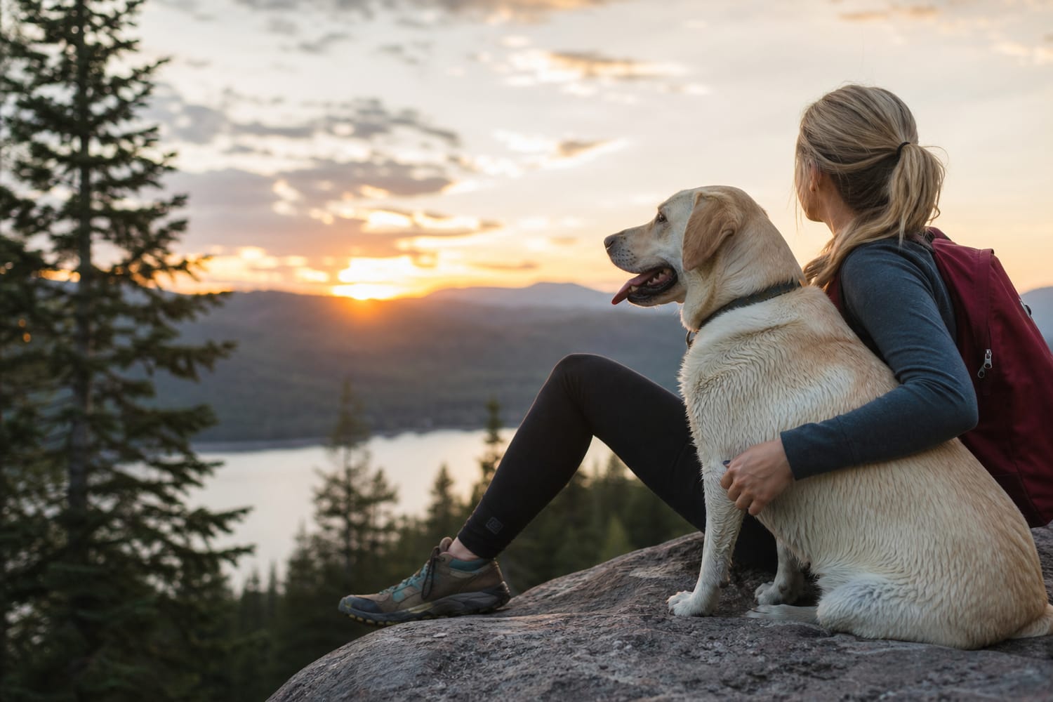 Micro-Adventures With Your Pet: Big Joy Without a Big Trip