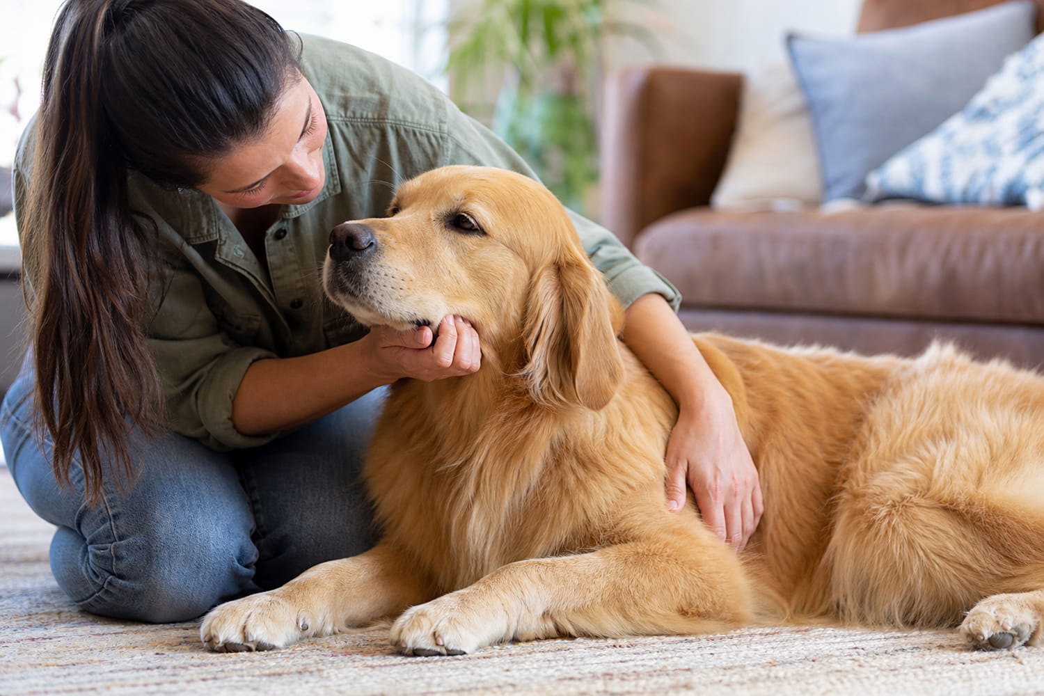 The 10-Minute Nose-to-Tail Check Every Pet Parent Should Do Weekly