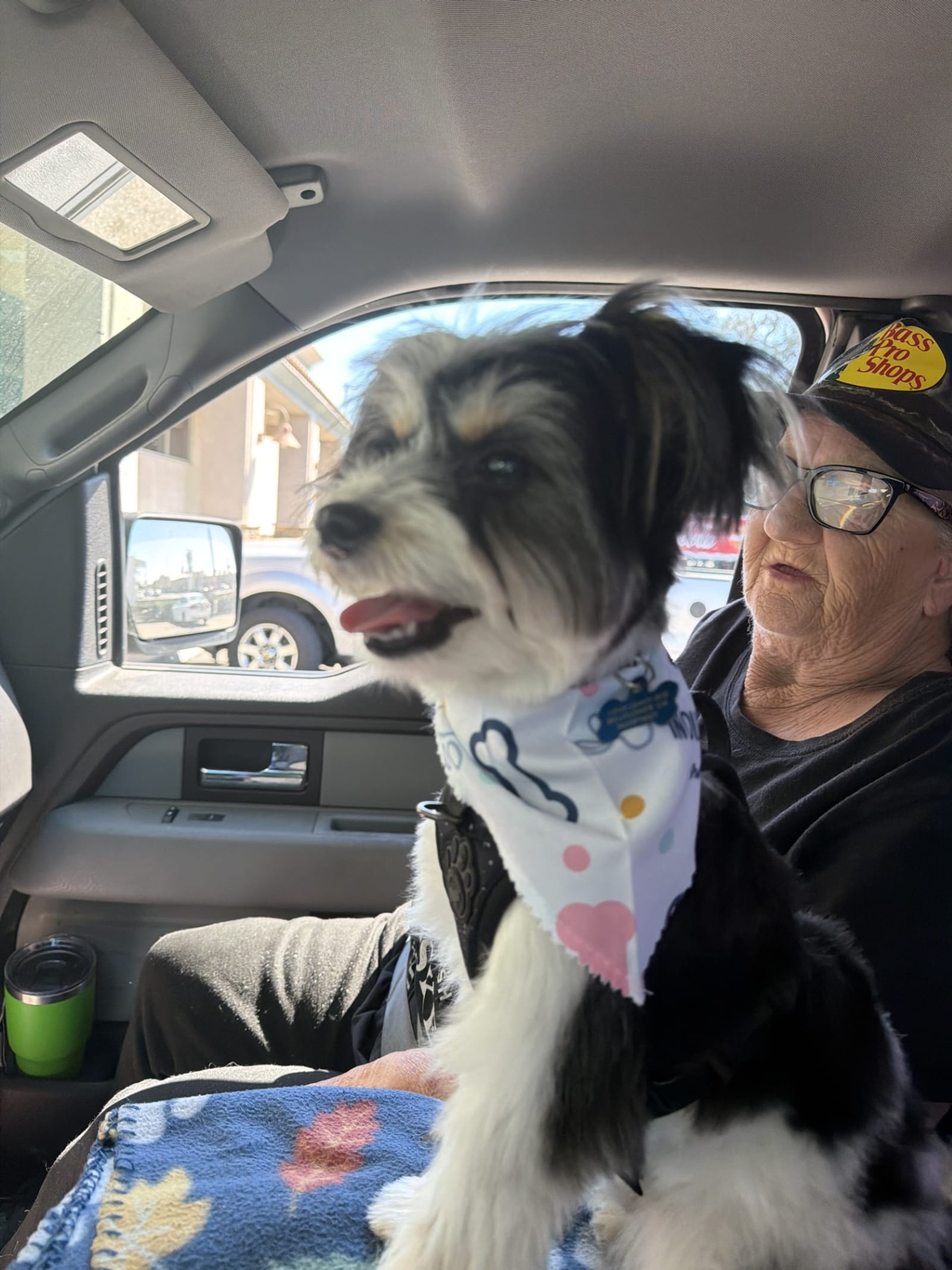 Petspiration Spotlight: Oreo