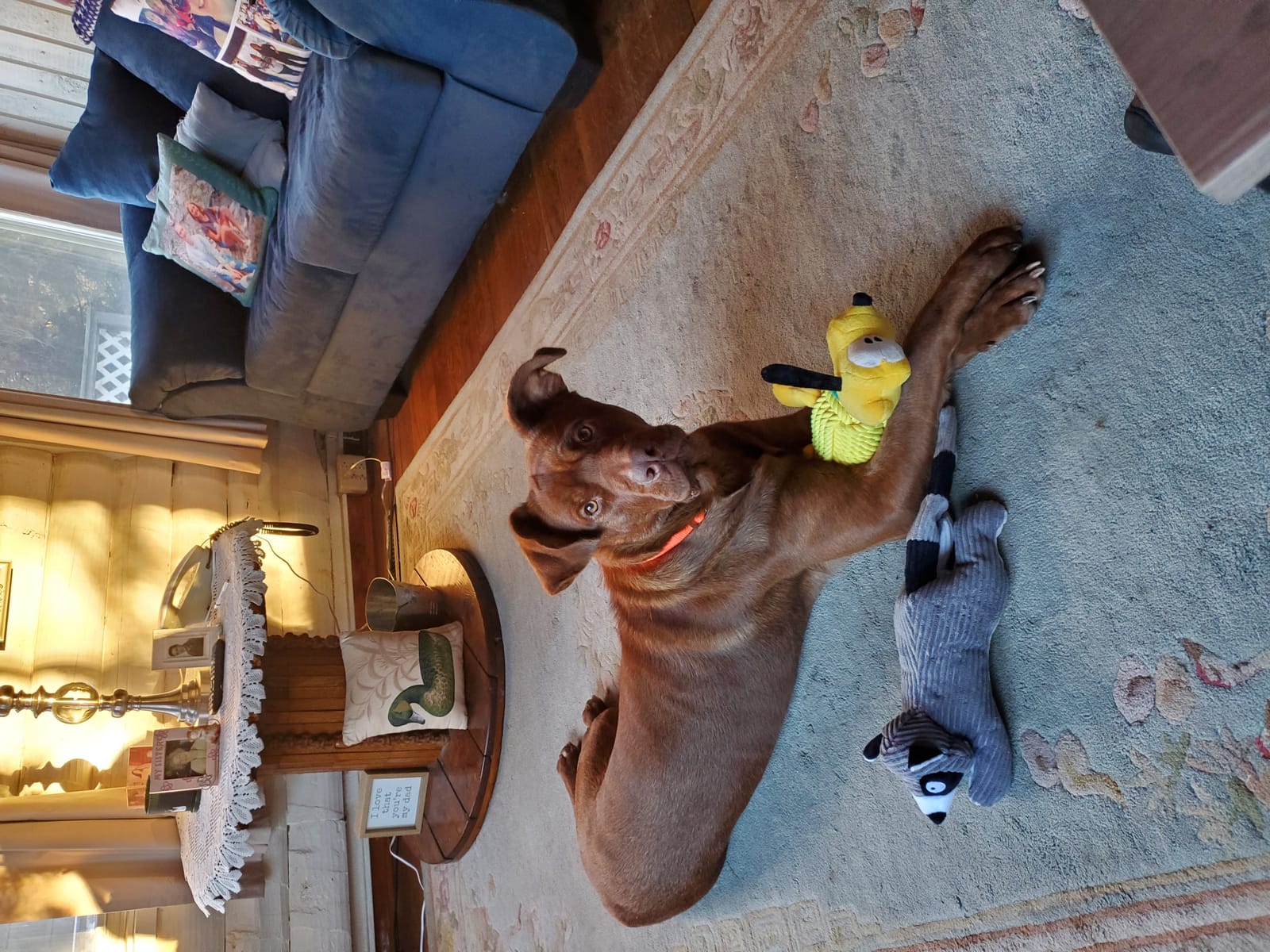 Petspiration Spotlight: Obie