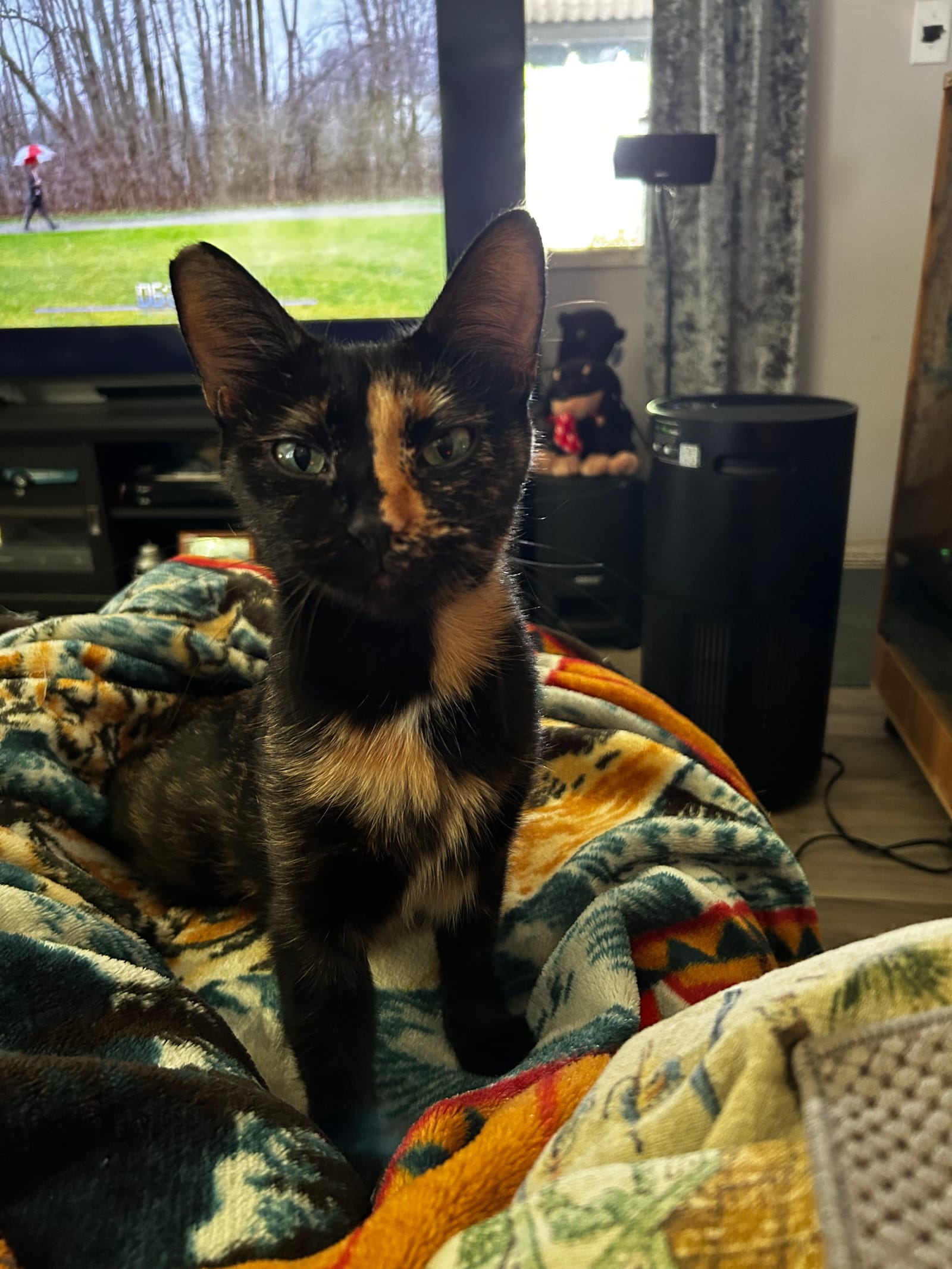Petspiration Spotlight: Cali
