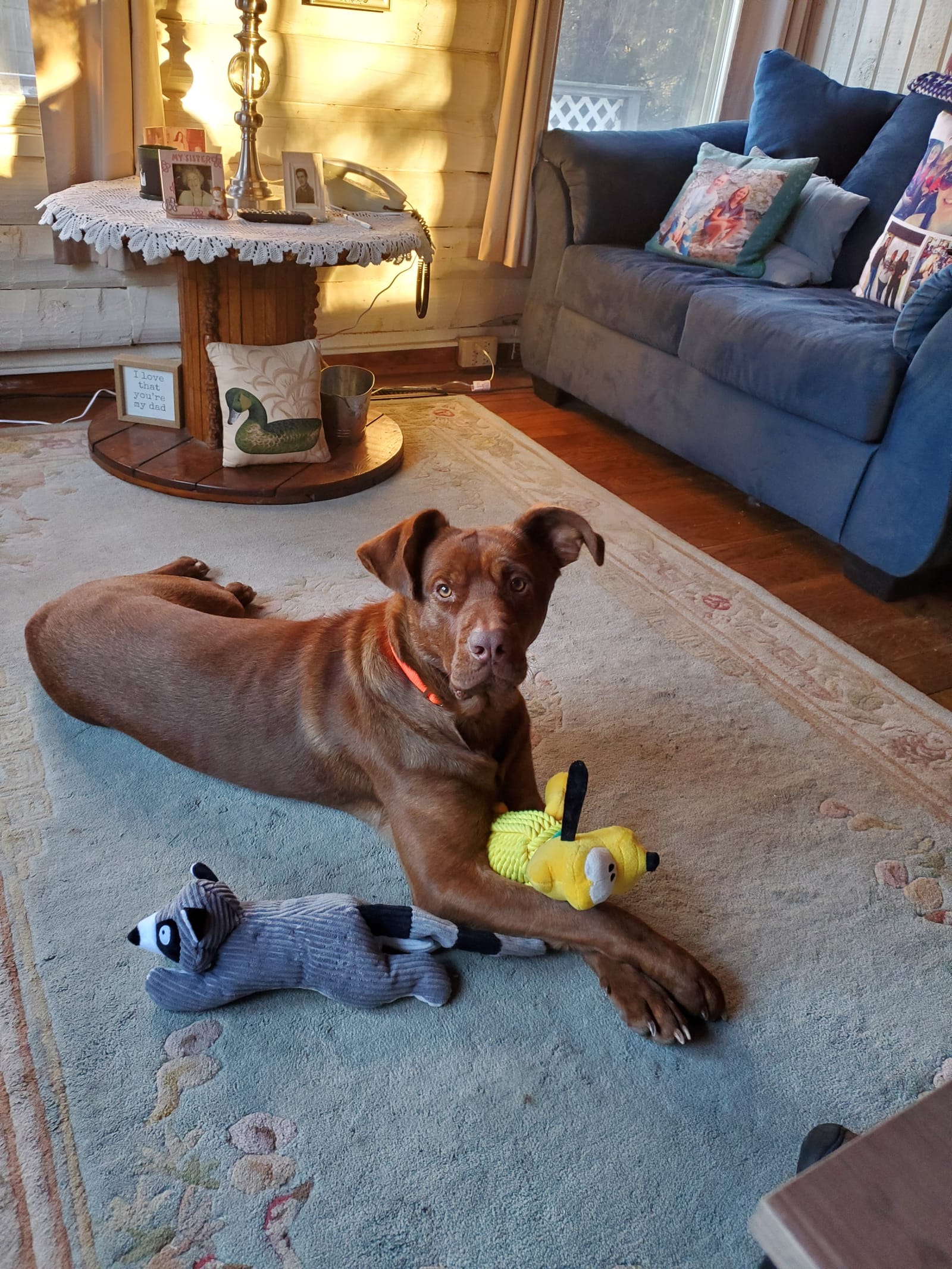 Petspiration Spotlight: Obie