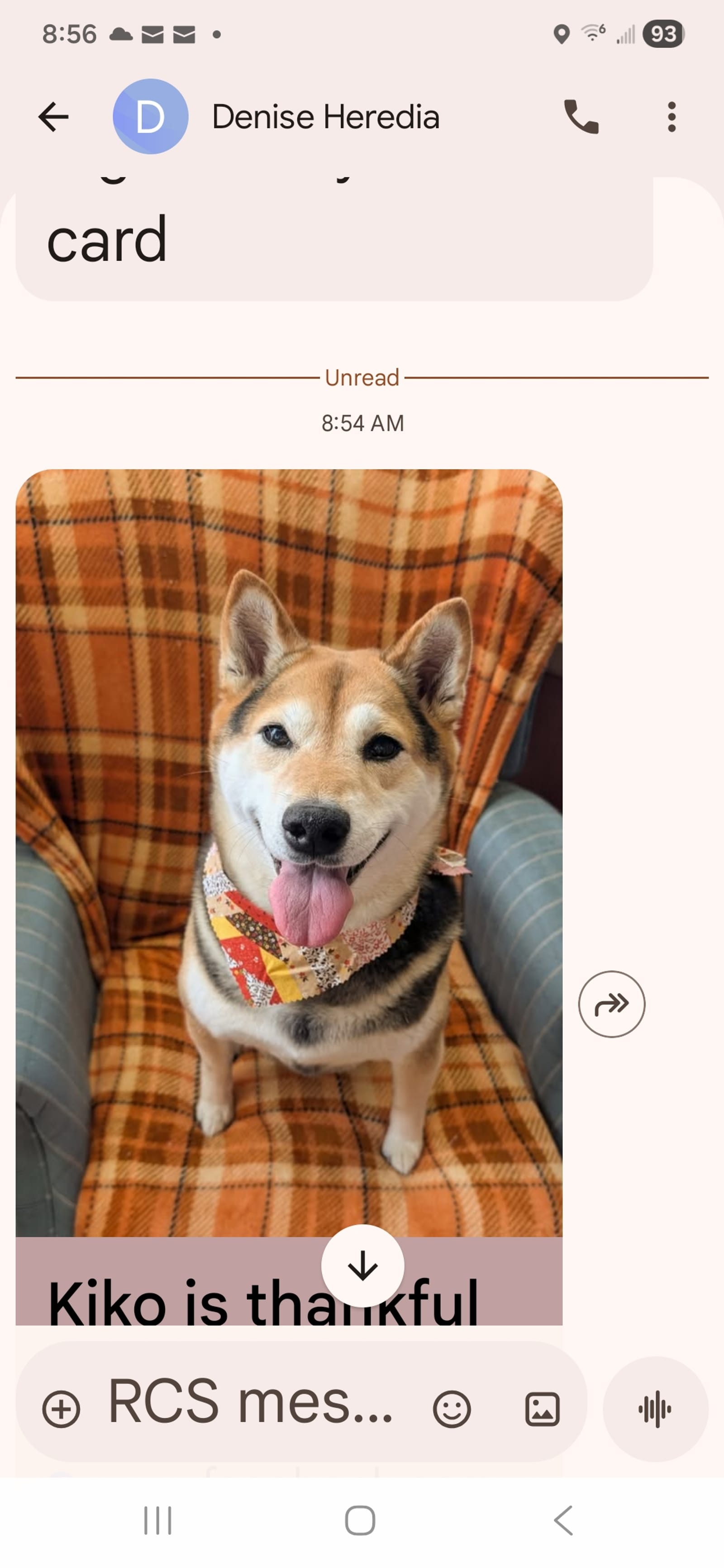 Petspiration Spotlight: Kiko