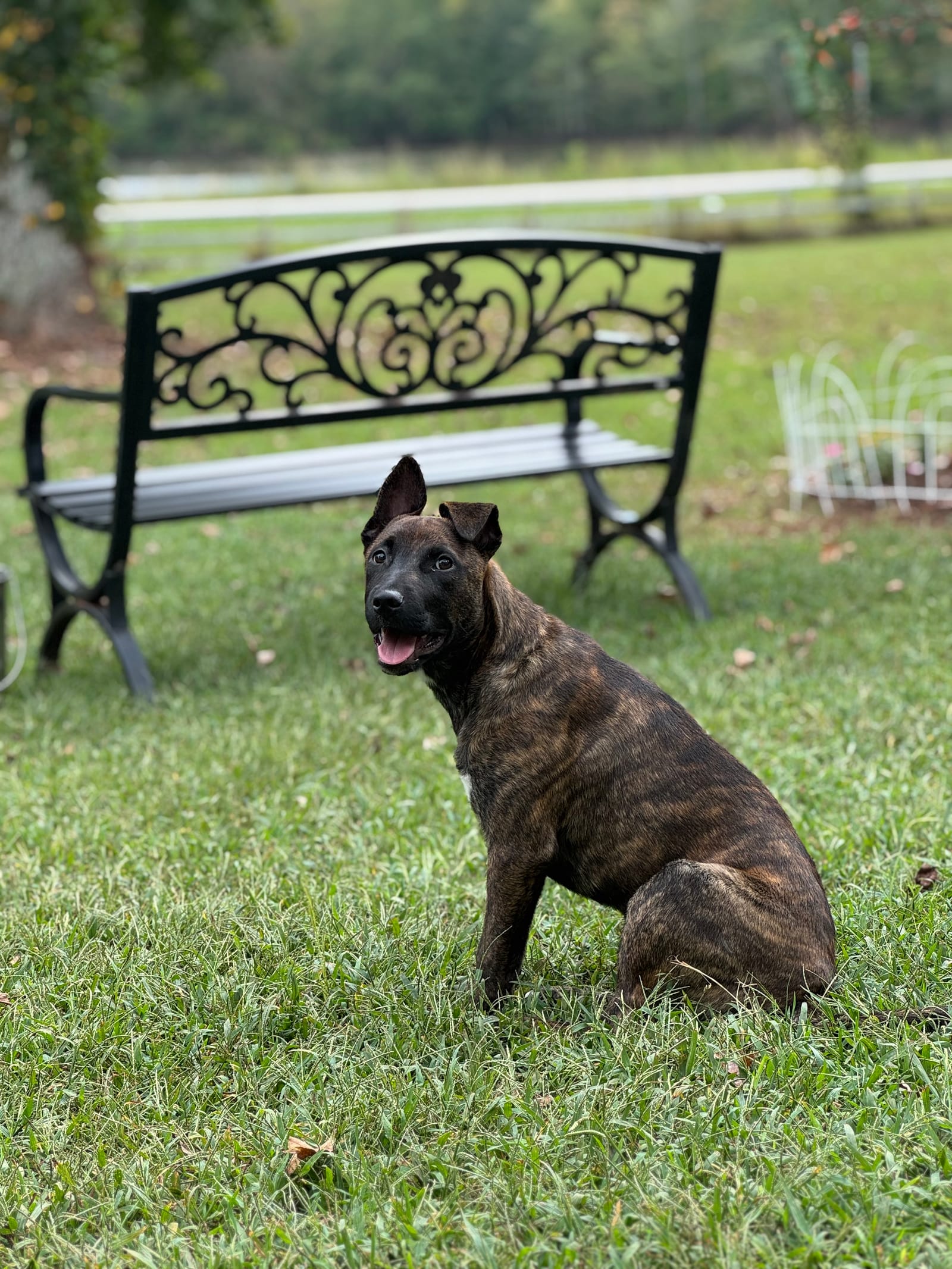Petspiration Spotlight: Elly-Mae