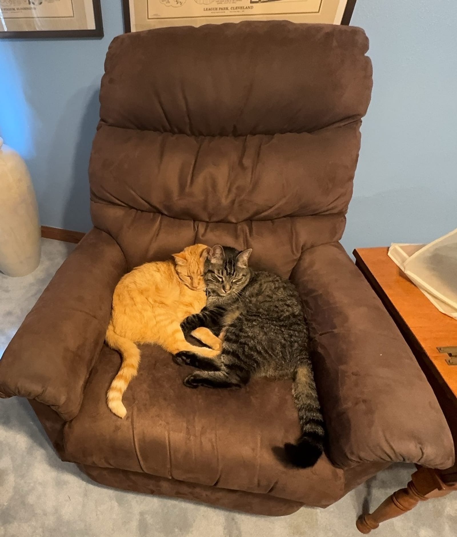 Petspiration Spotlight: Ryan and Jill