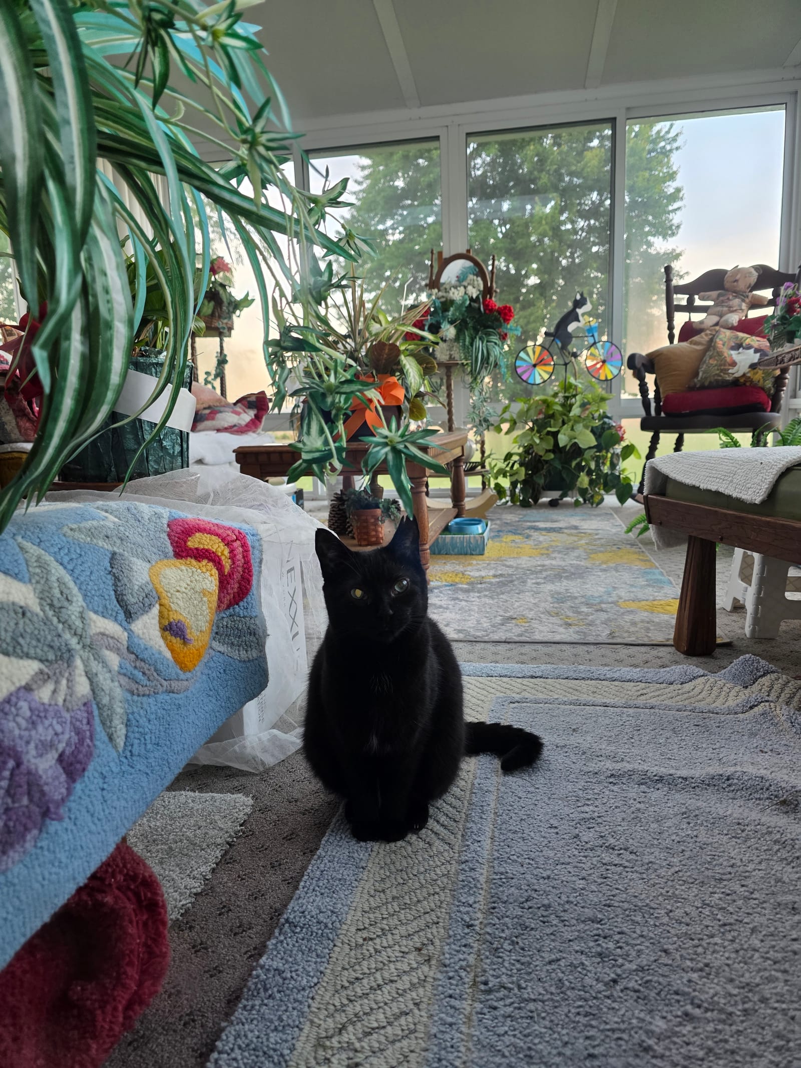 Petspiration Spotlight: Dory