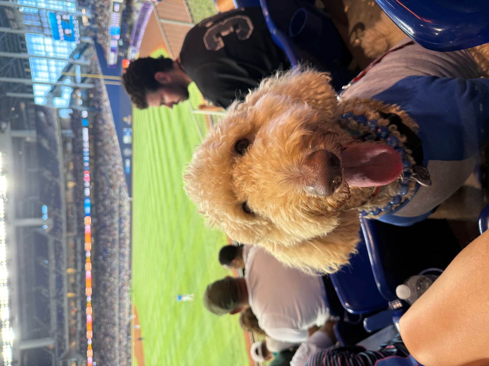 Petspiration Spotlight: Ozzy