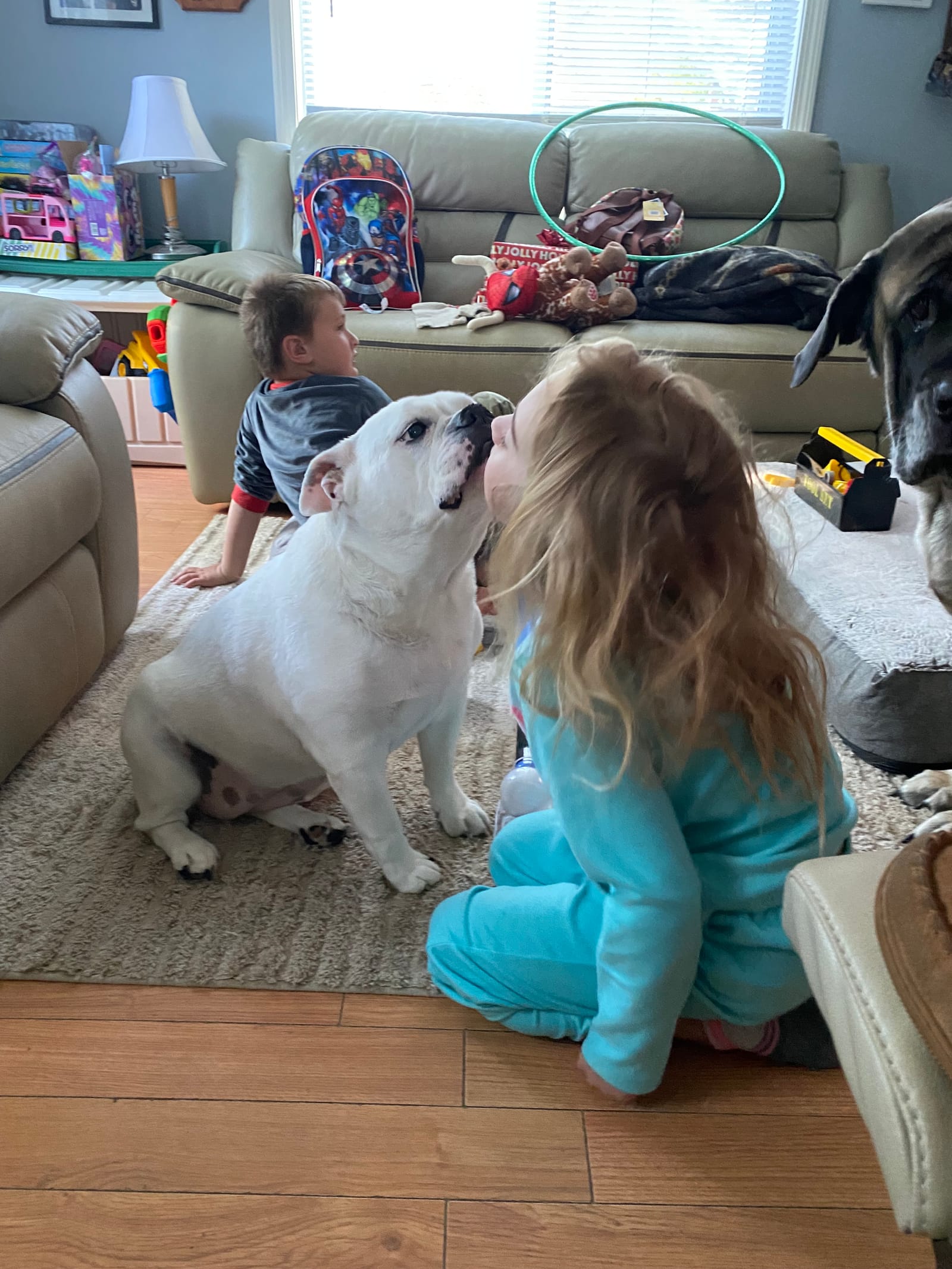 Petspiration Spotlight: Lexi