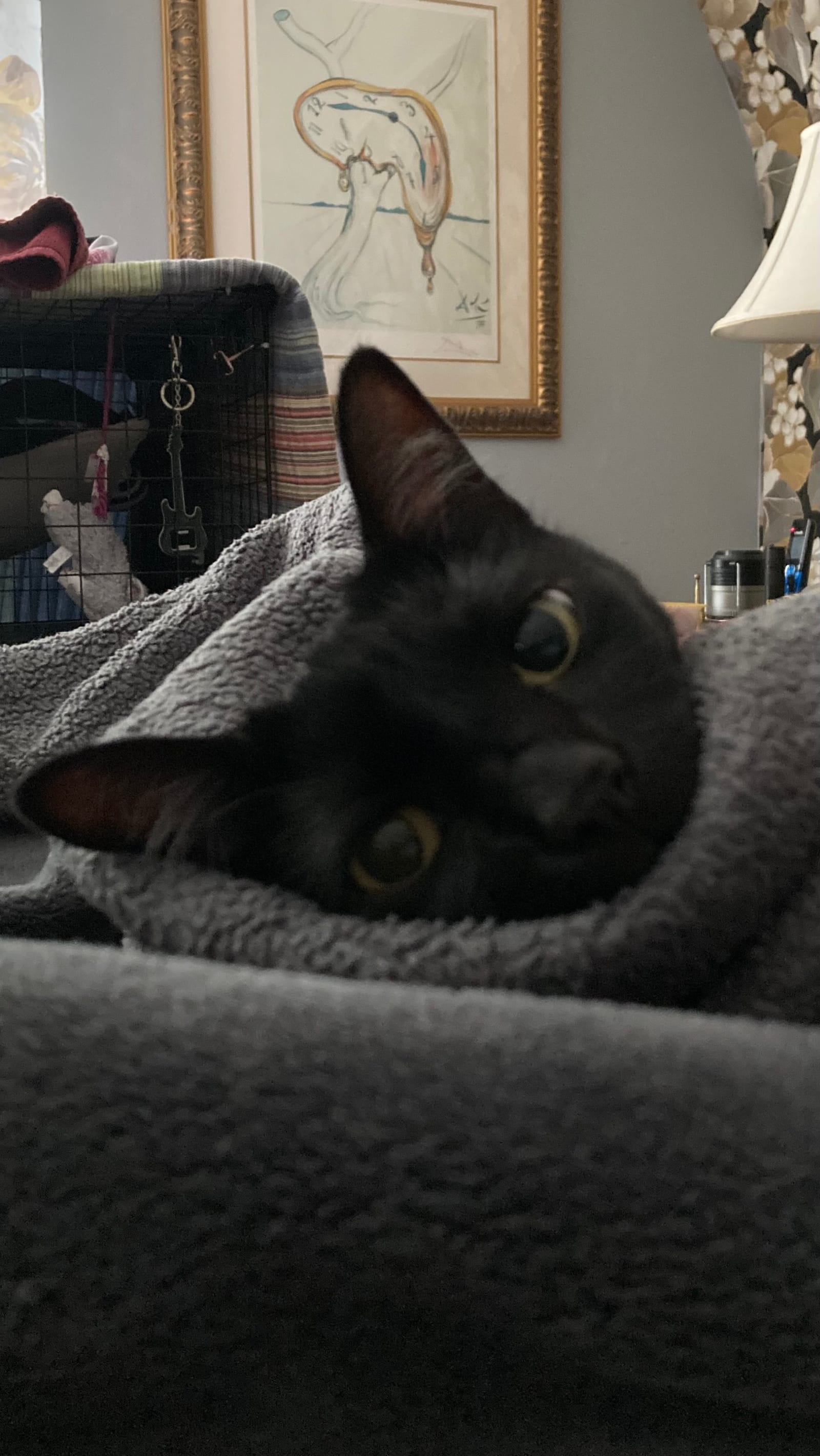 Petspiration Spotlight: Bear