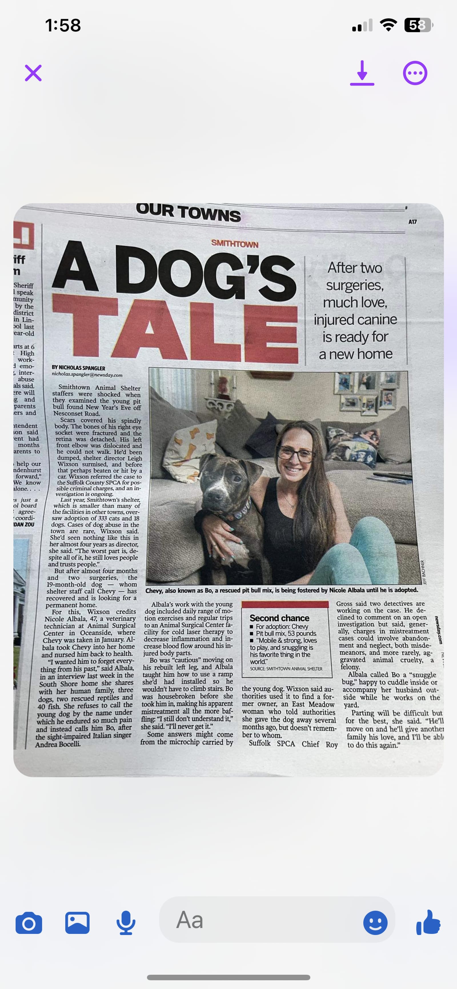 Petspiration Spotlight: BoBocelli