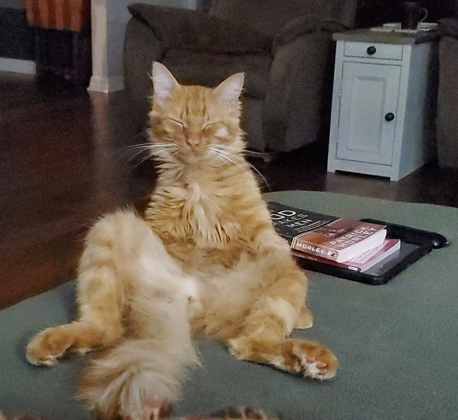 Petspiration Spotlight: Booger