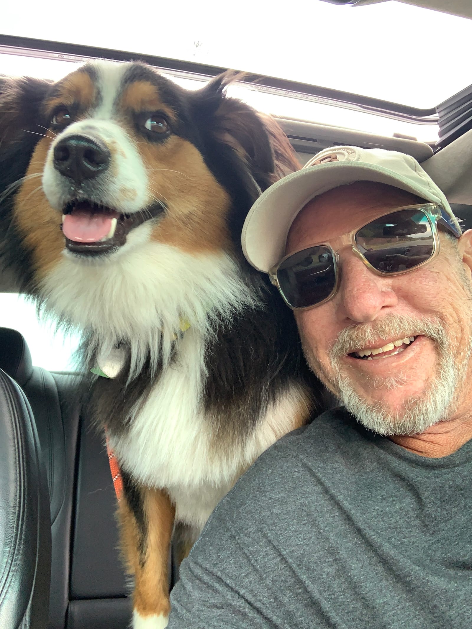 Petspiration Spotlight: Brody Bear