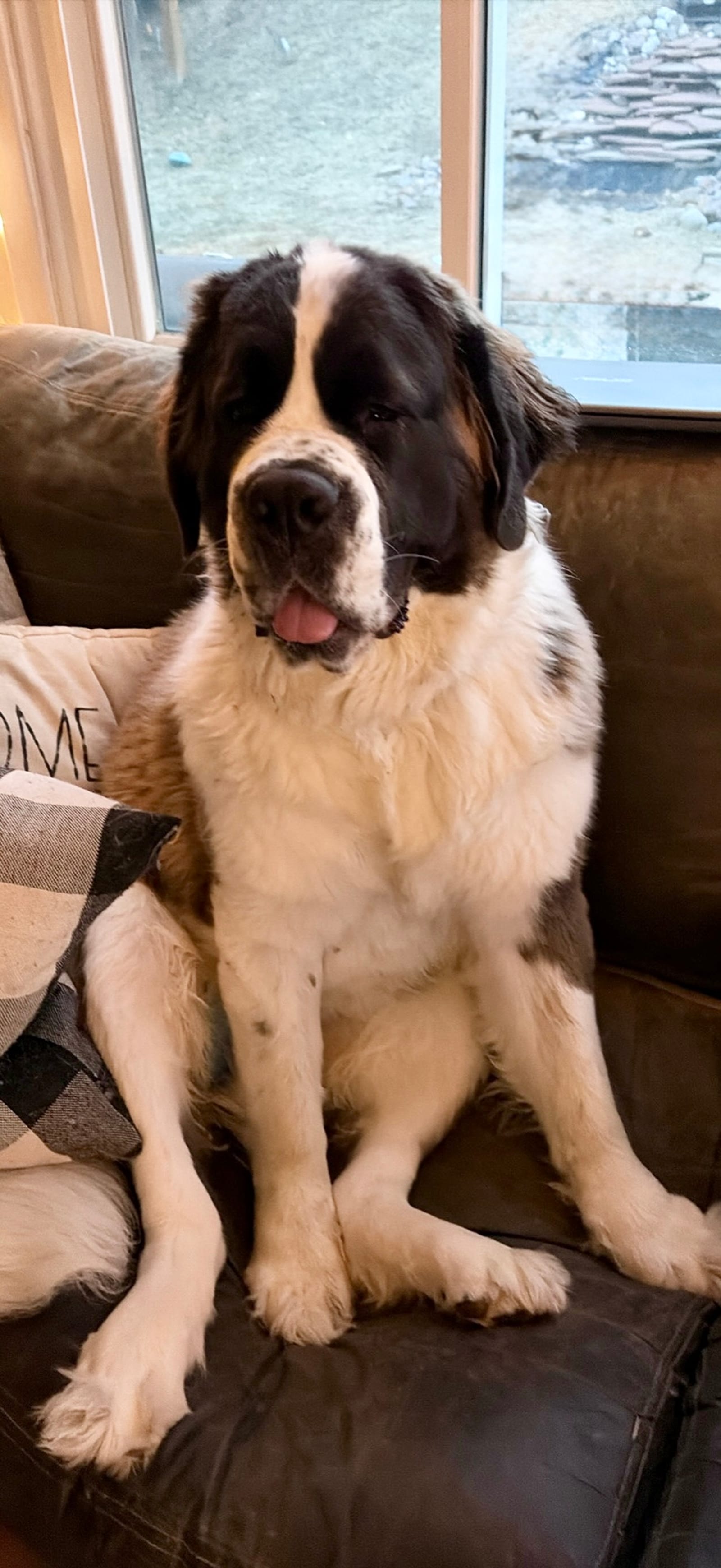 Petspiration Spotlight: Ellie