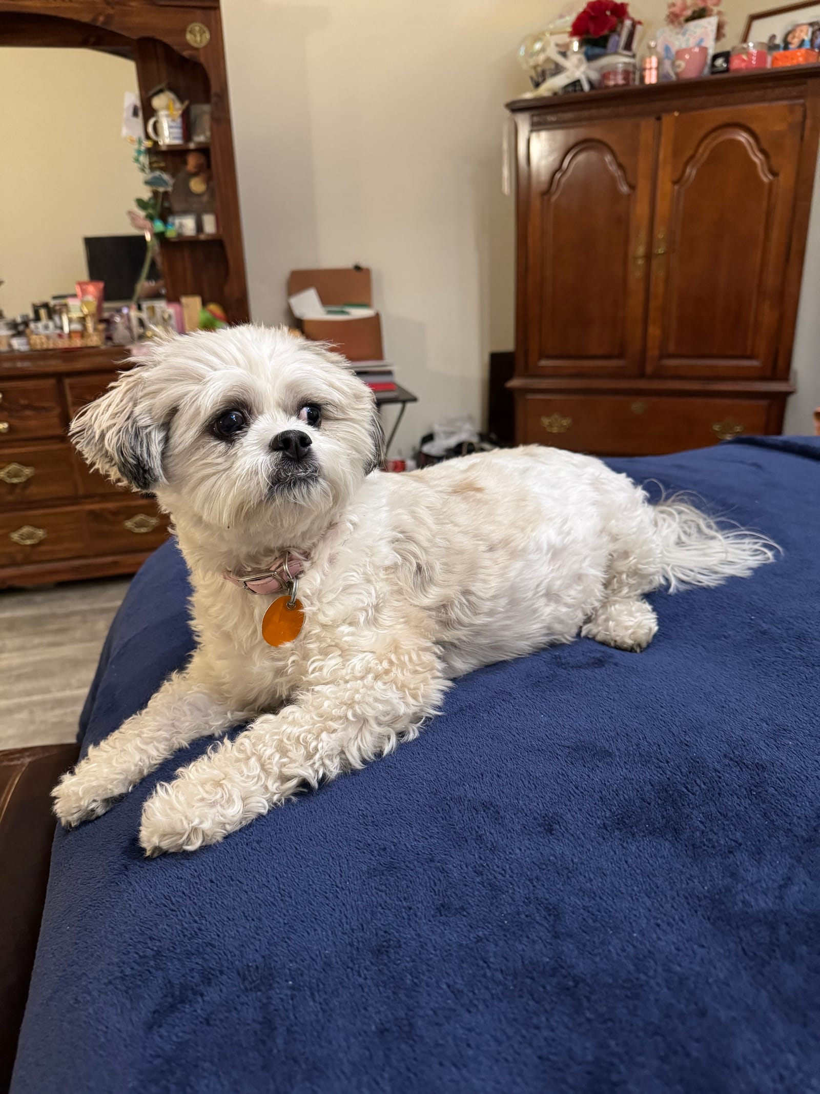 Petspiration Spotlight: Emileigh Kai’ Bouler