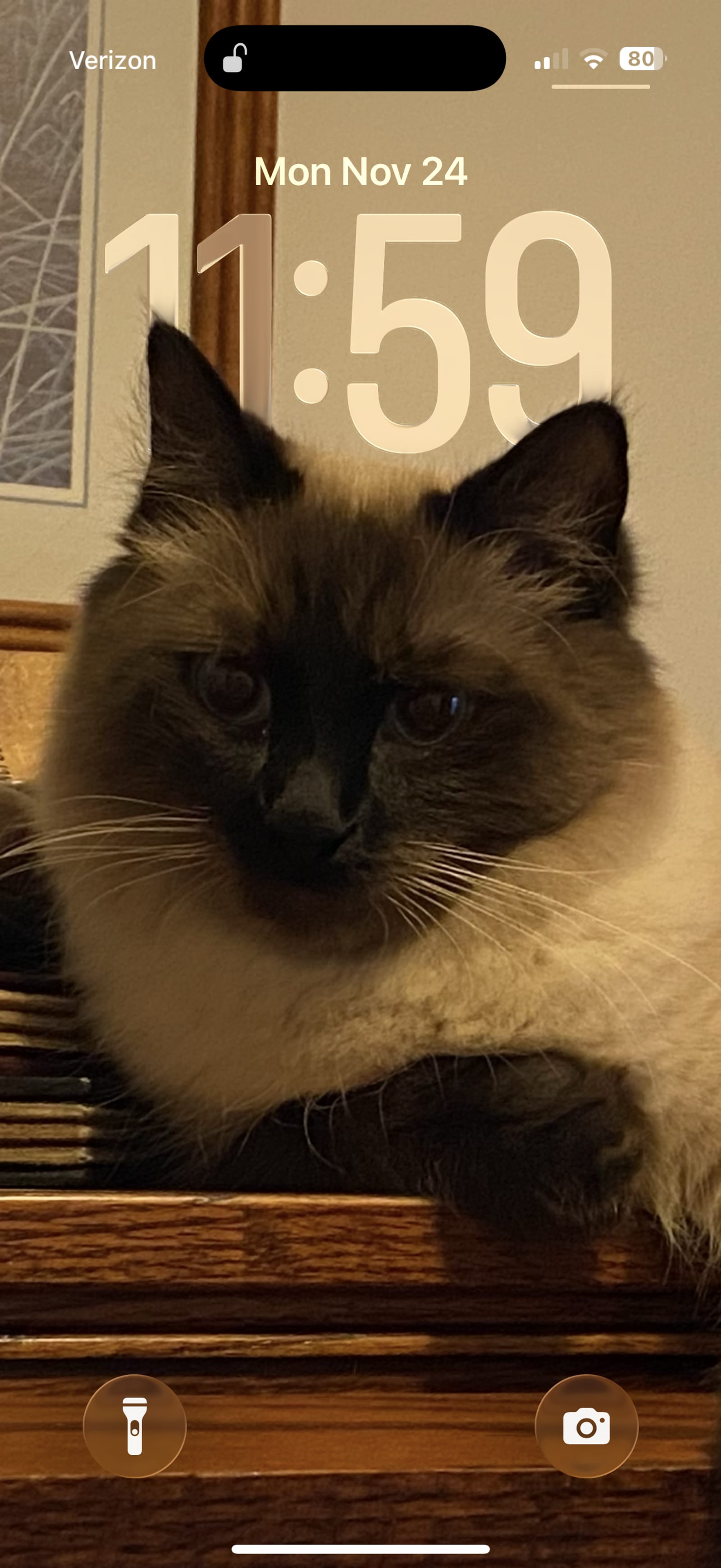 Petspiration Spotlight: Fitzroy
