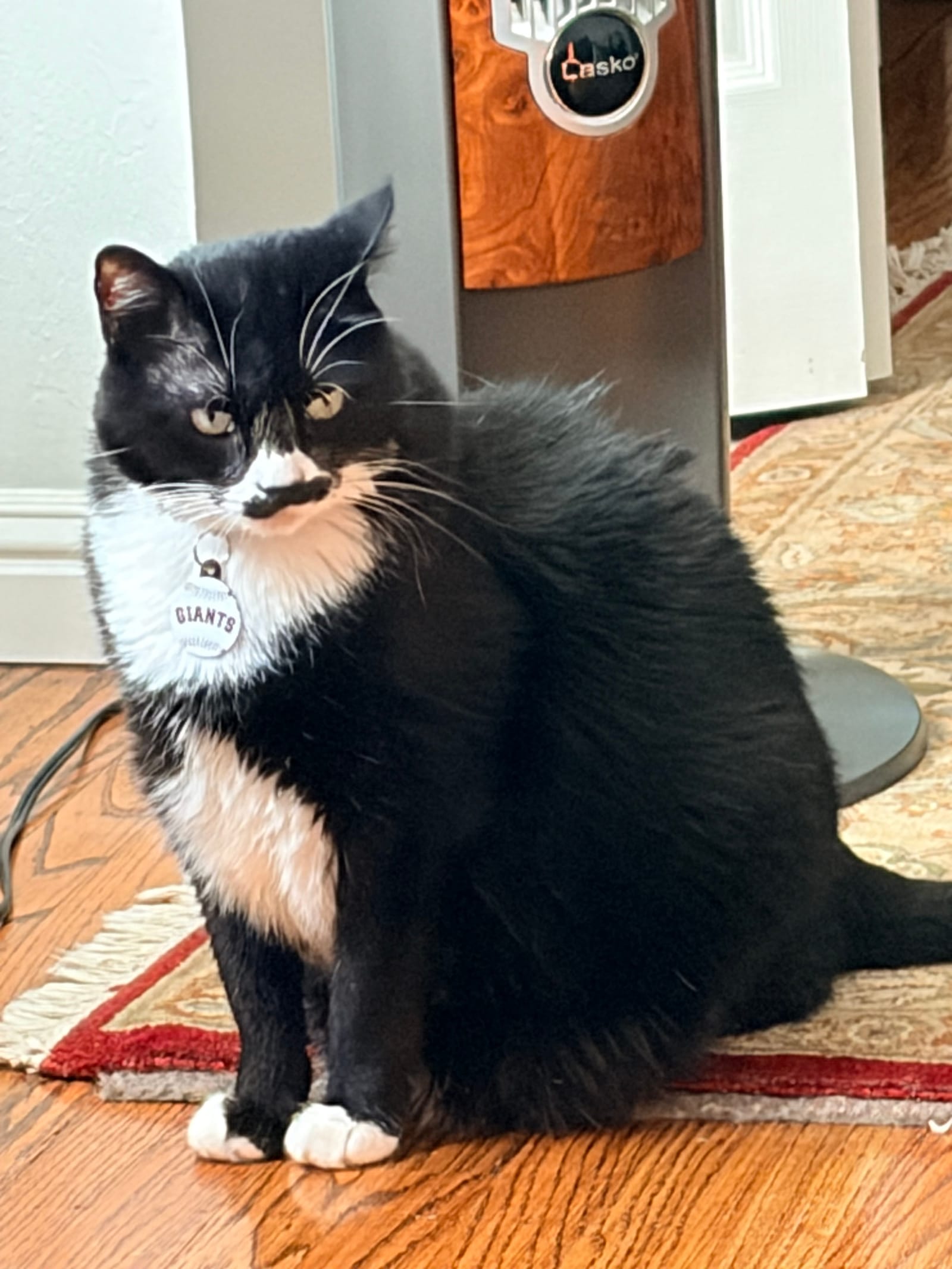 Petspiration Spotlight: Groucho