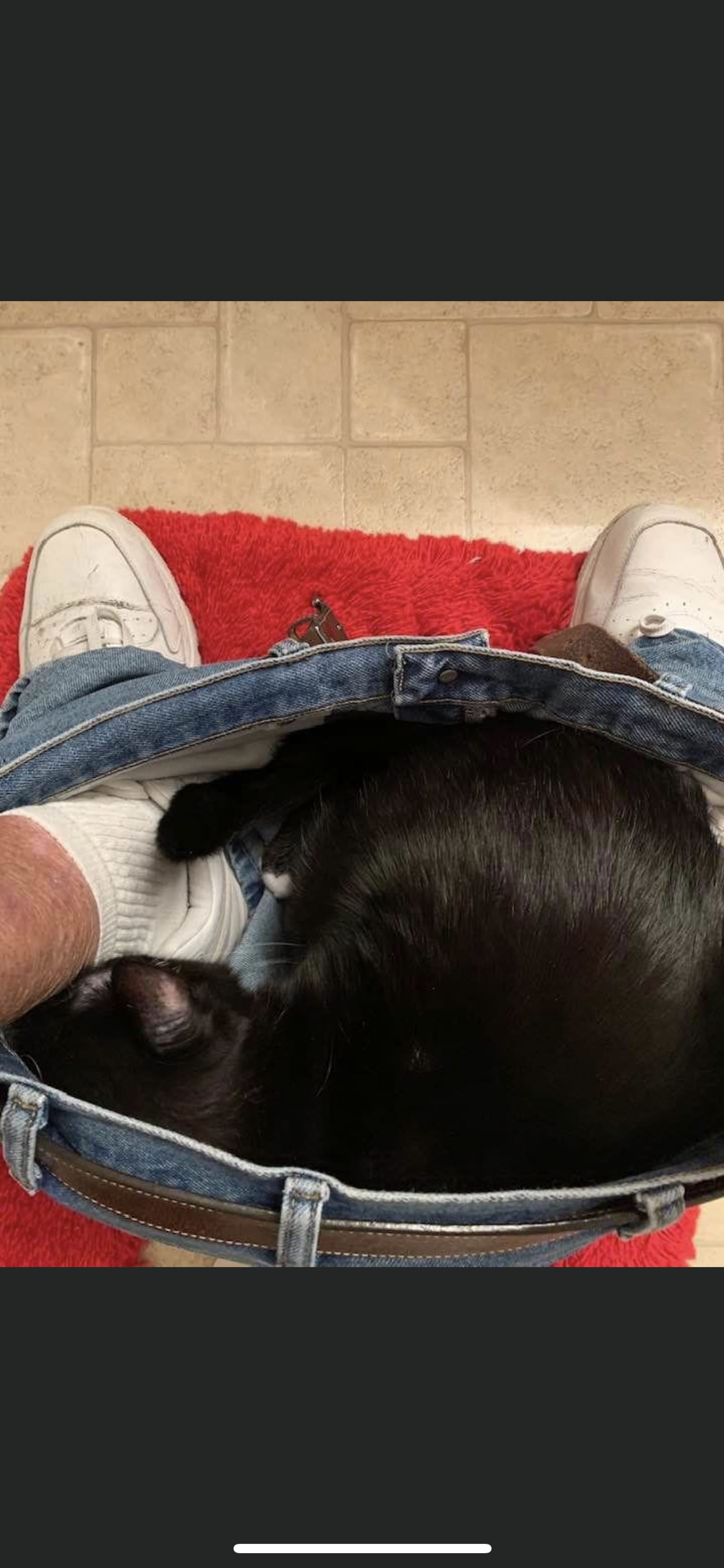 Petspiration Spotlight: Heiou (Hey you)