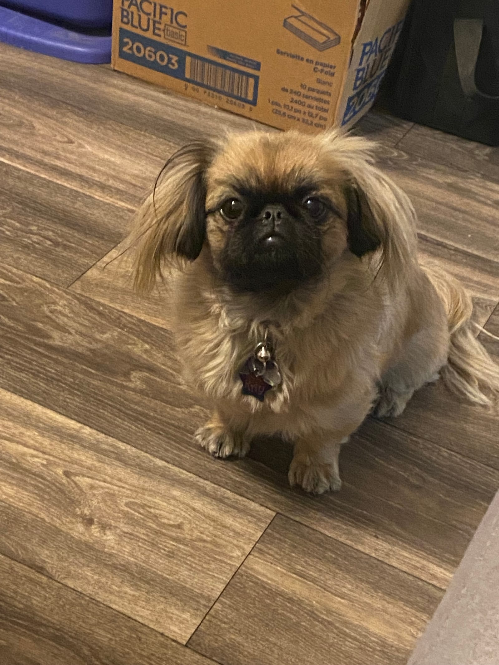 Petspiration Spotlight: Kay Hooper
