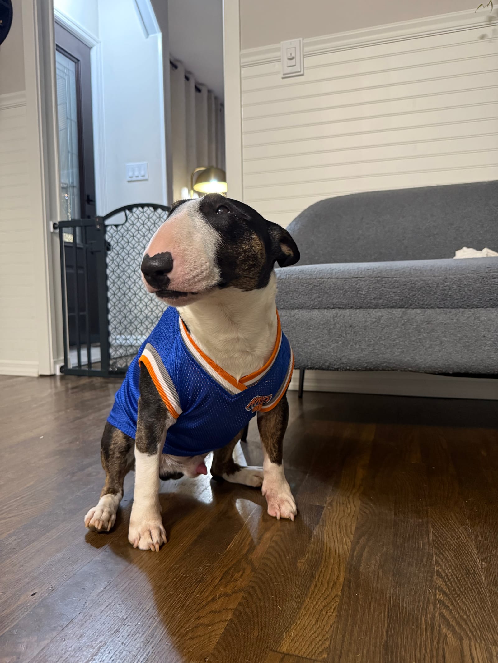 Petspiration Spotlight: Kodak