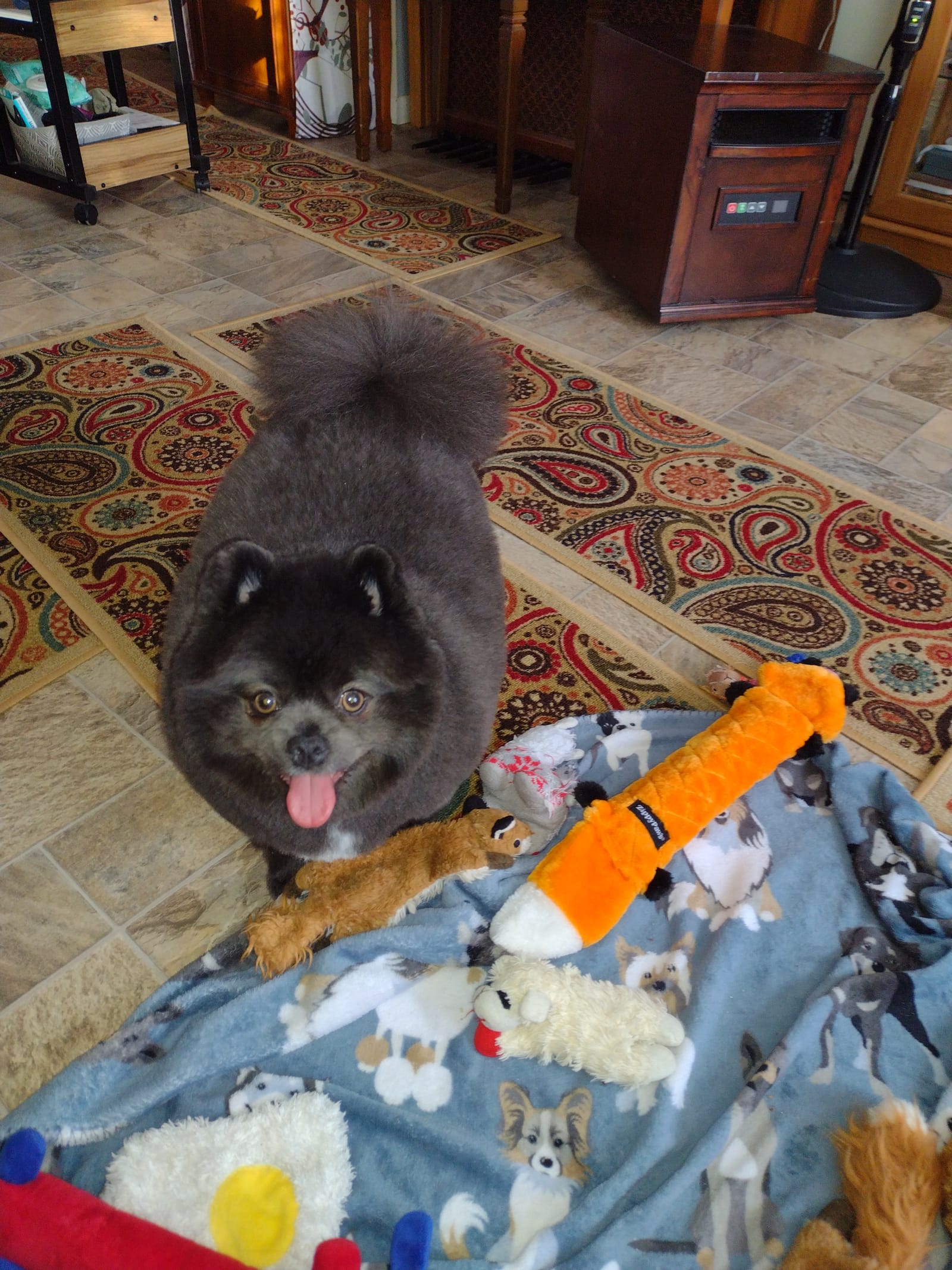Petspiration Spotlight: Lakona
