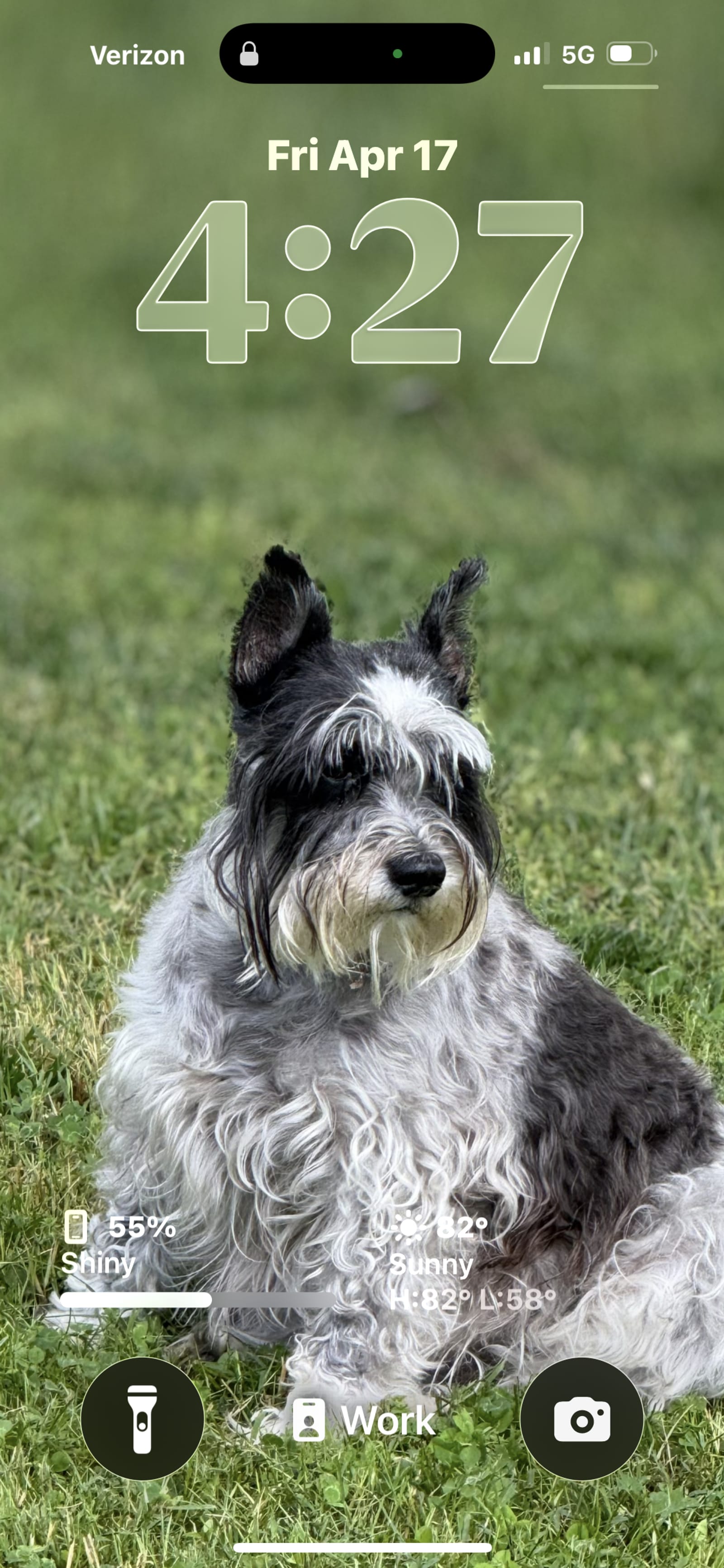Petspiration Spotlight: Lucy