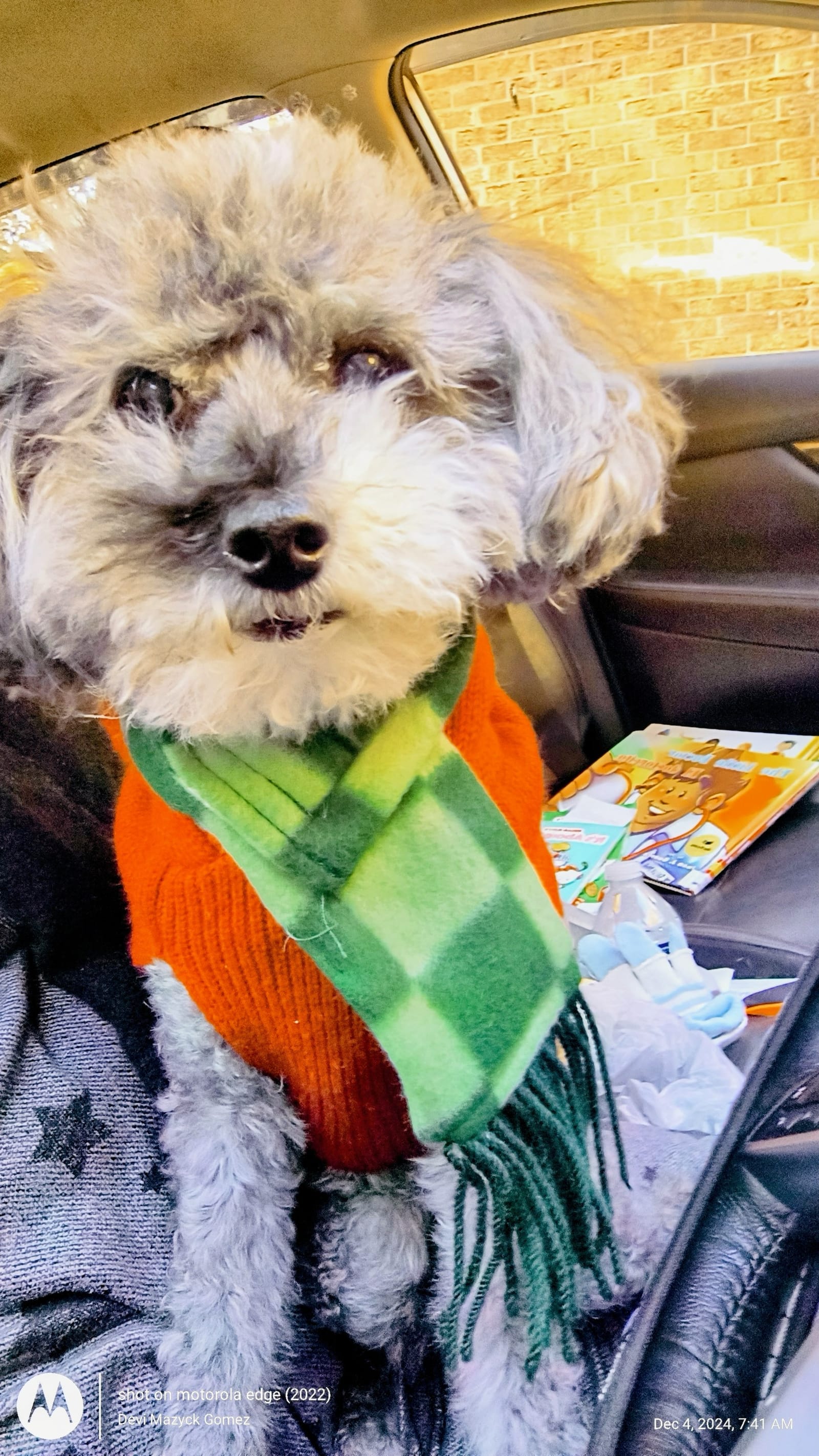 Petspiration Spotlight: Marley