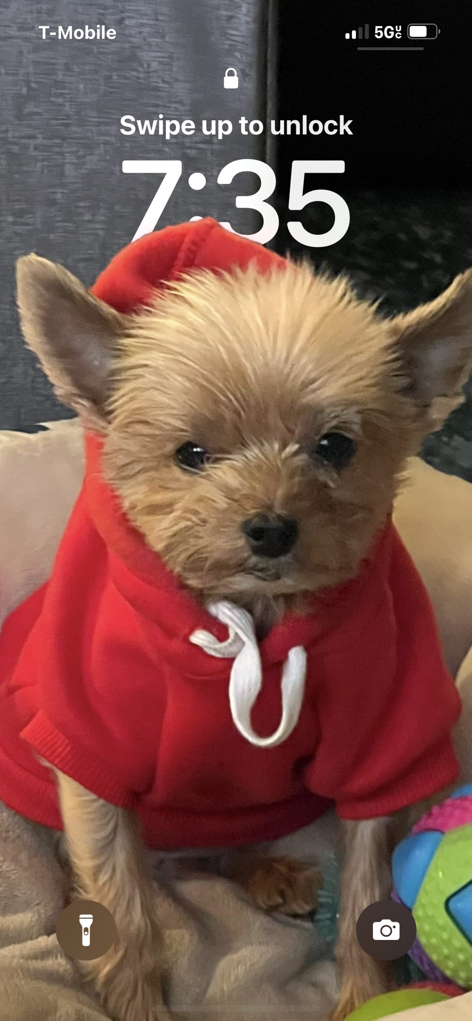 Petspiration Spotlight: Mellow