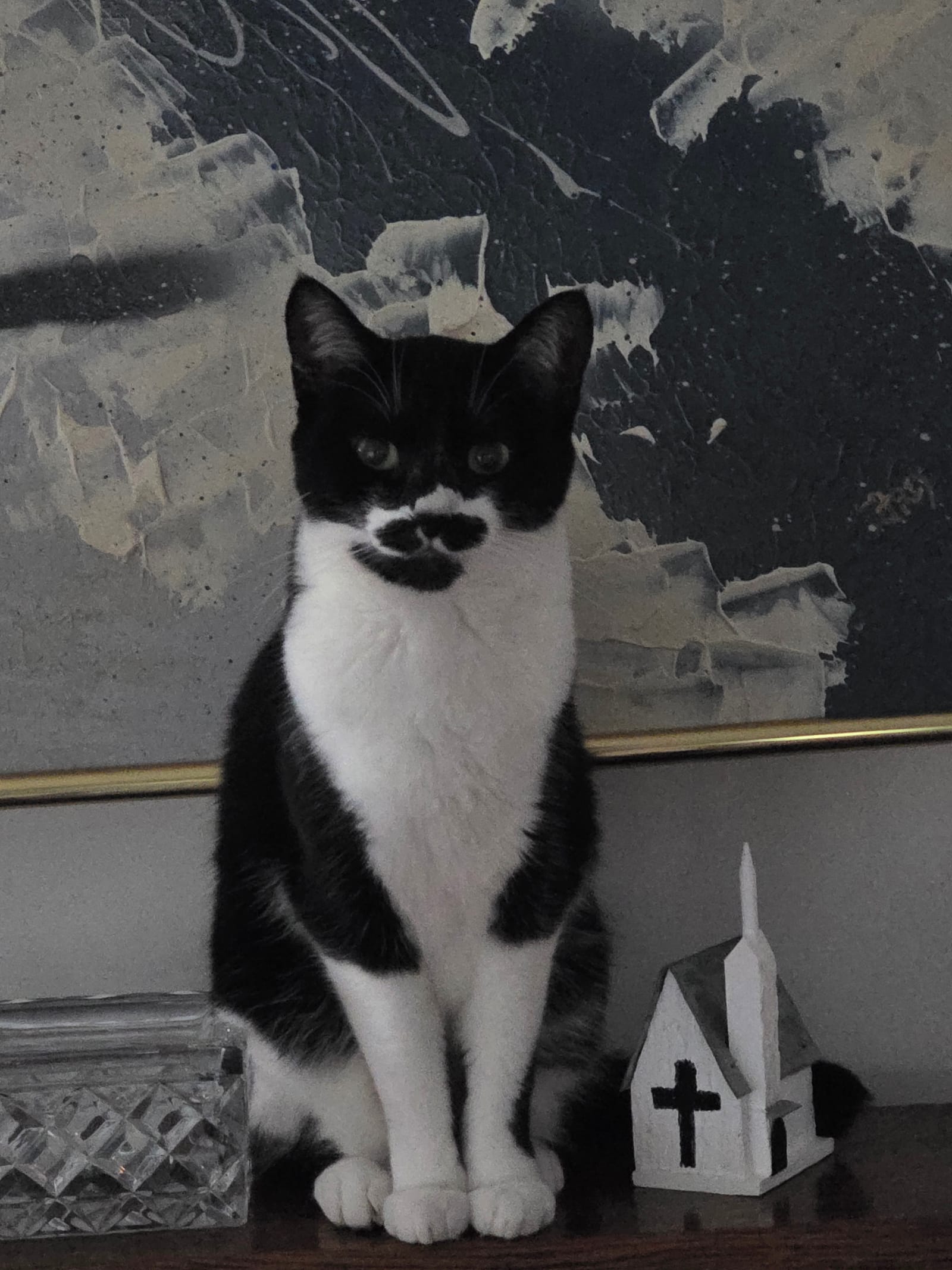 Petspiration Spotlight: Olympia