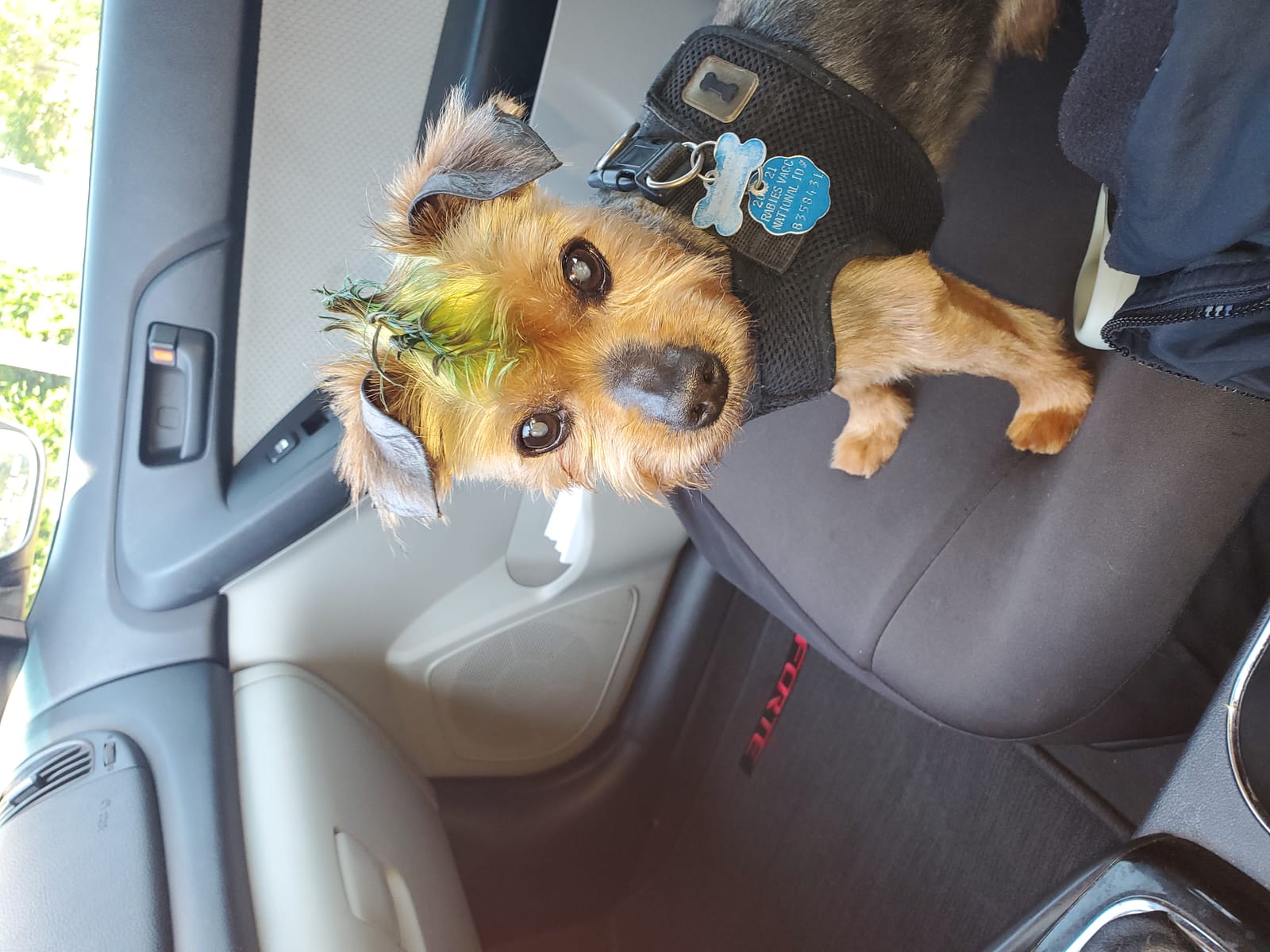 Petspiration Spotlight: Ridge