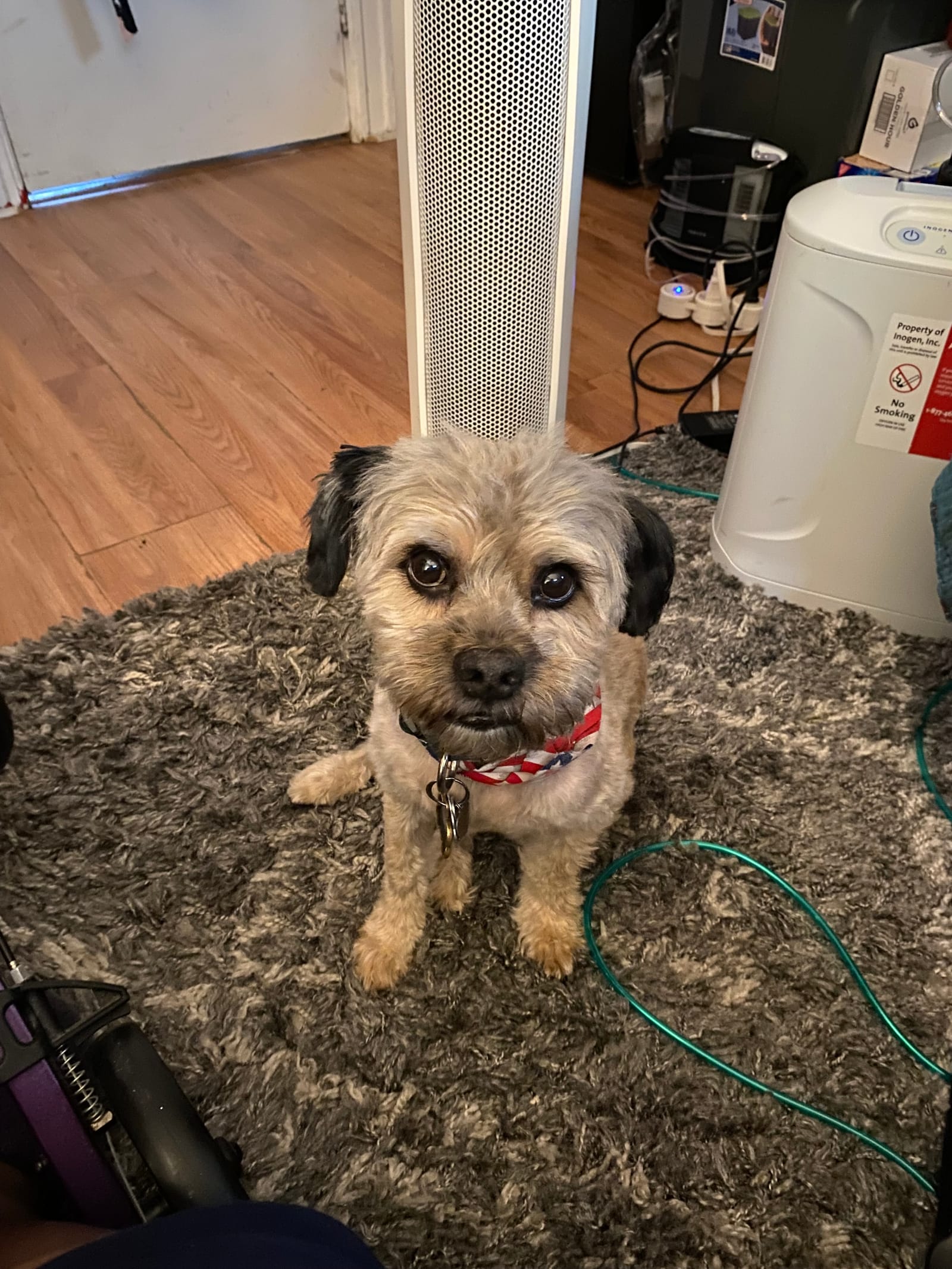 Petspiration Spotlight: Scrappy