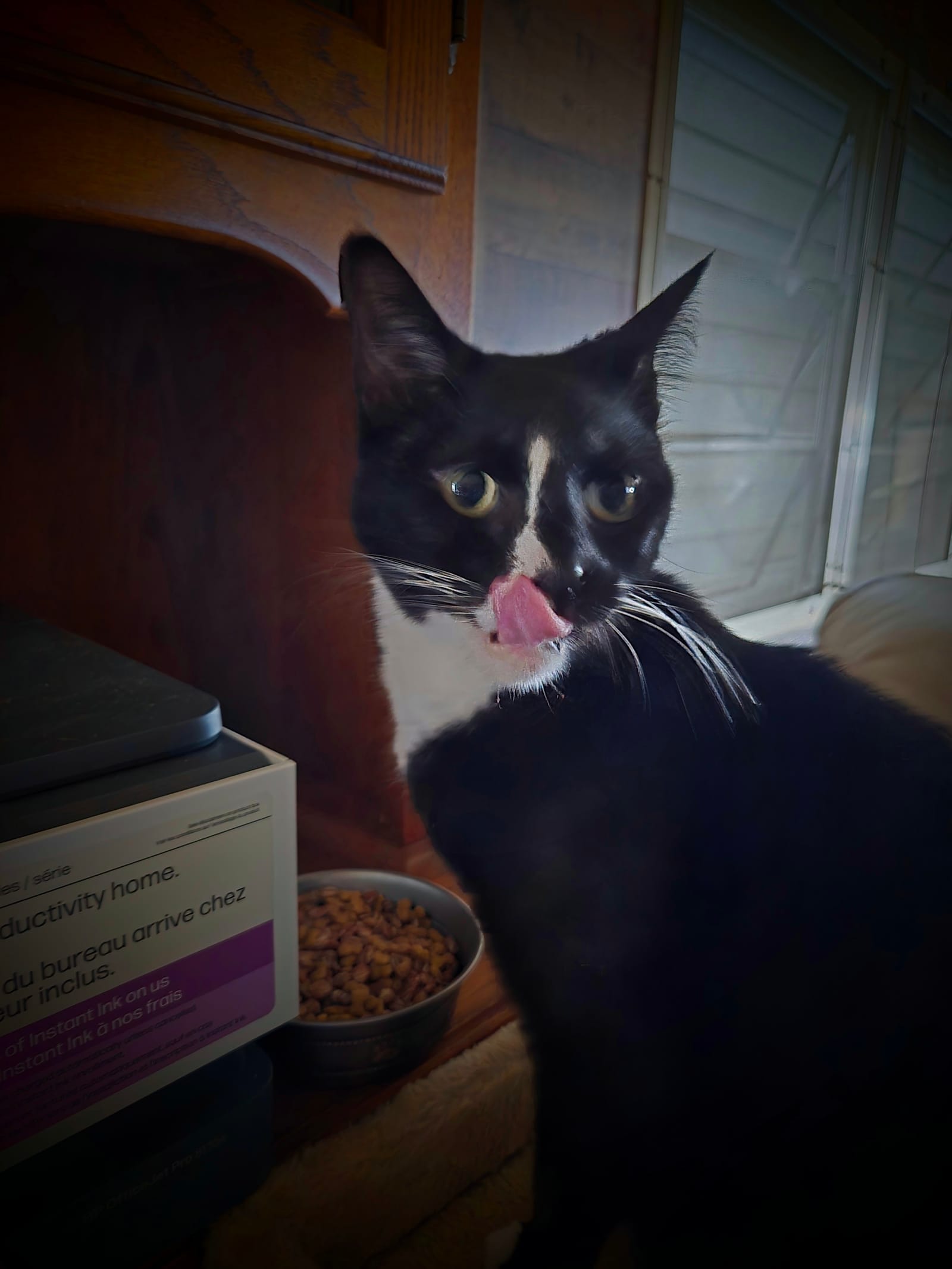 Petspiration Spotlight: Spooky