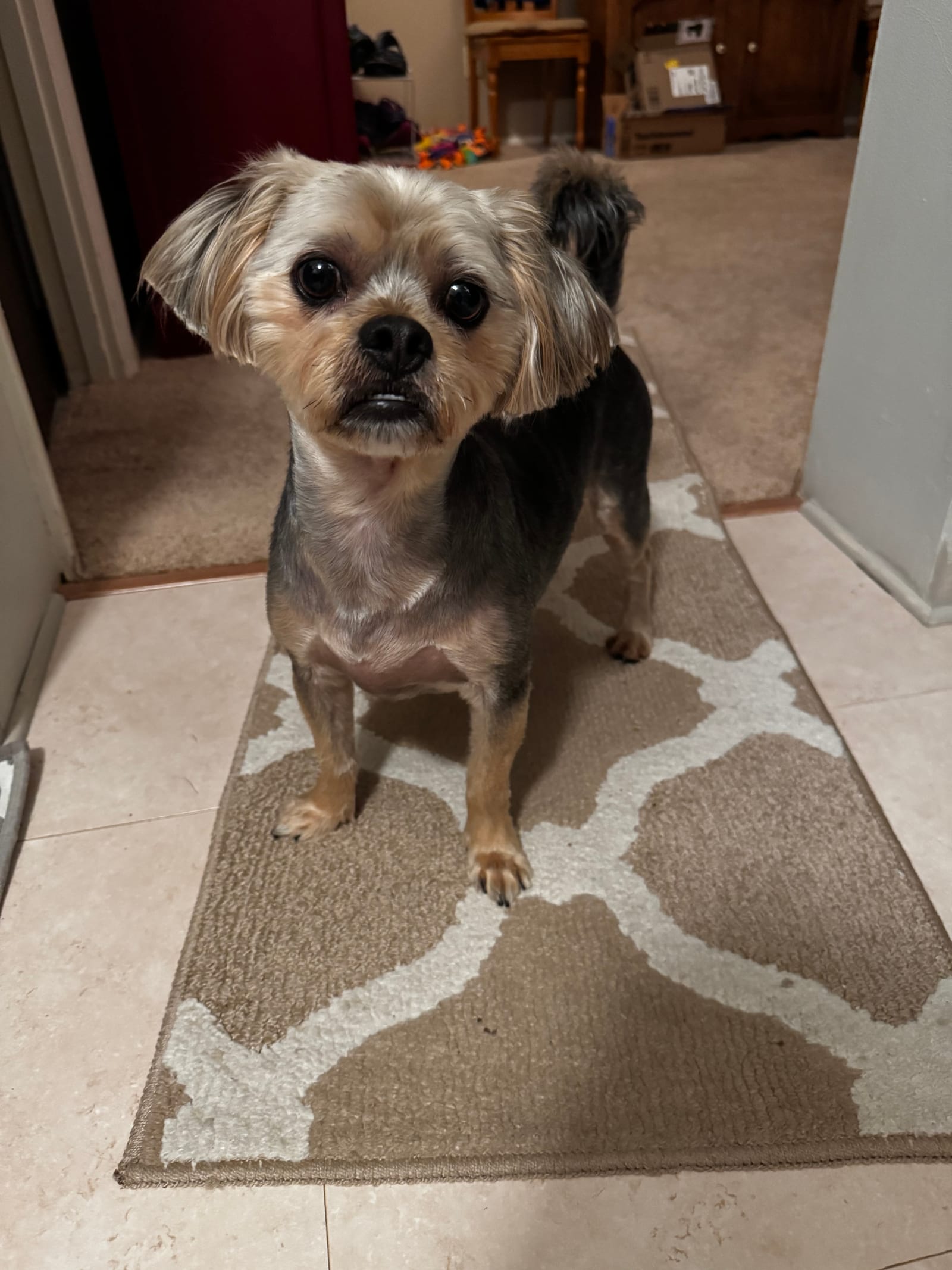 Petspiration Spotlight: Stash