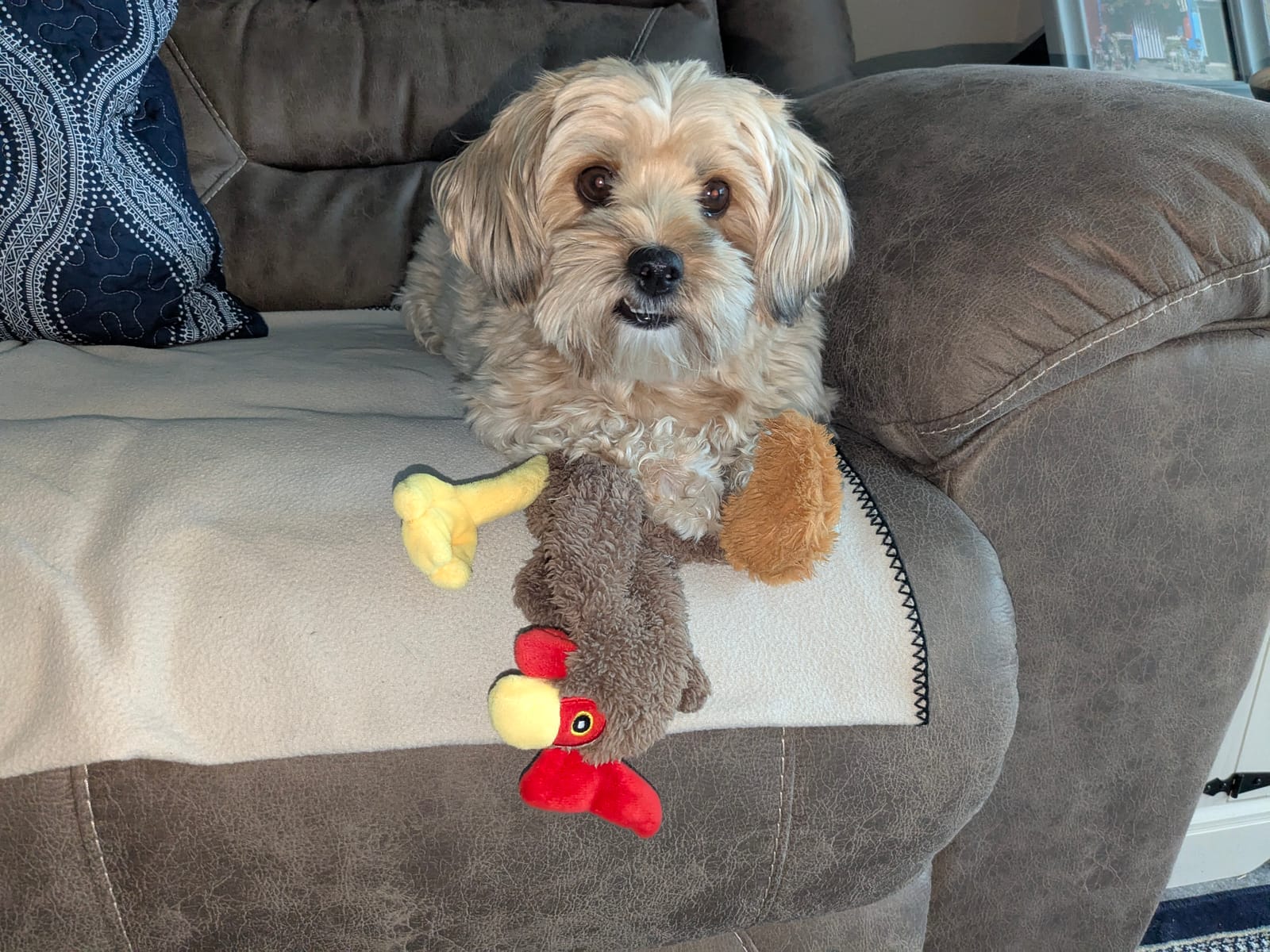 Petspiration Spotlight: Sylvana
