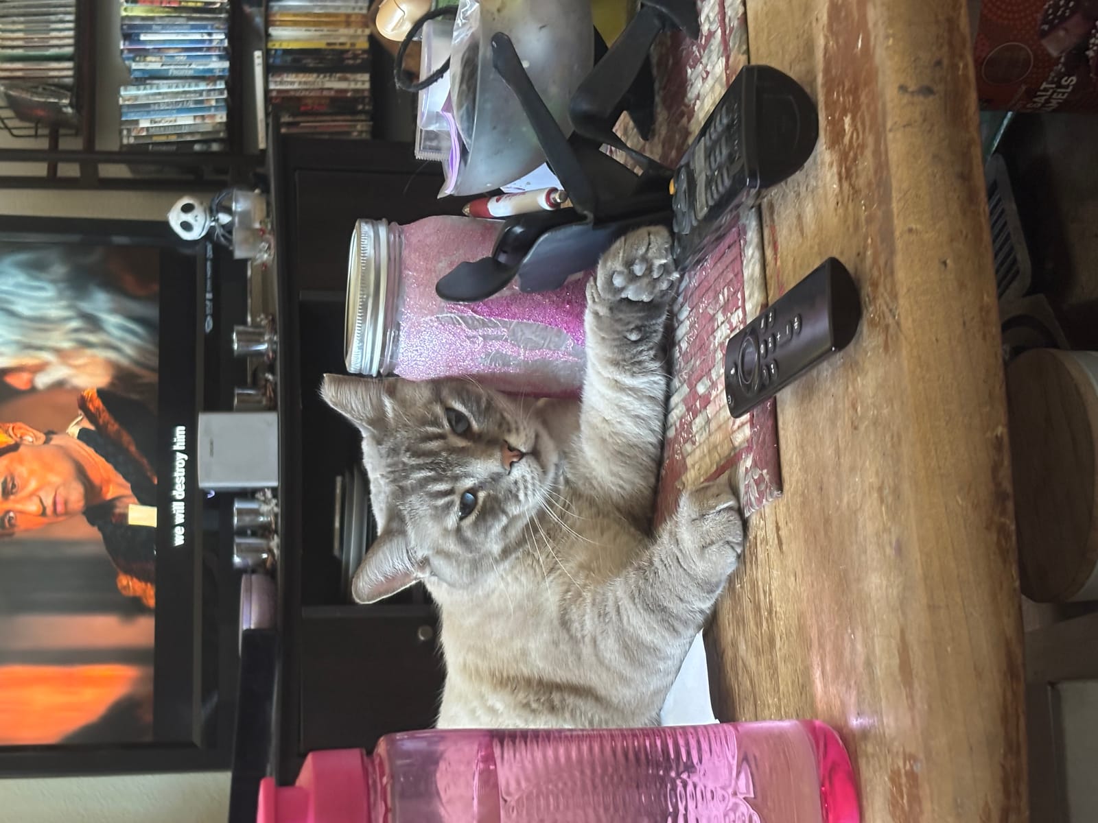 Petspiration Spotlight: Thumper