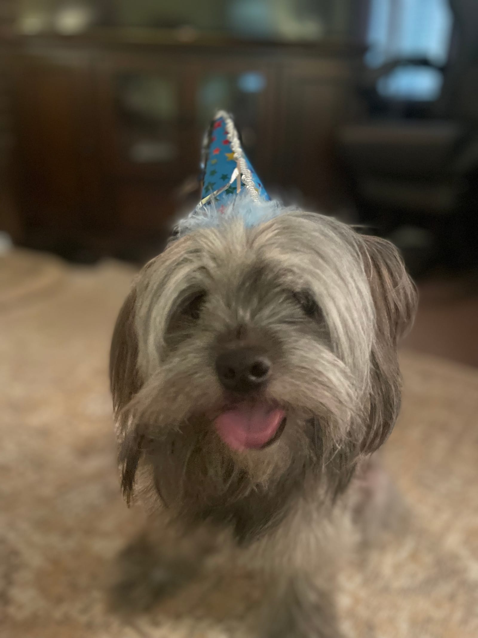 Petspiration Spotlight: Wylie
