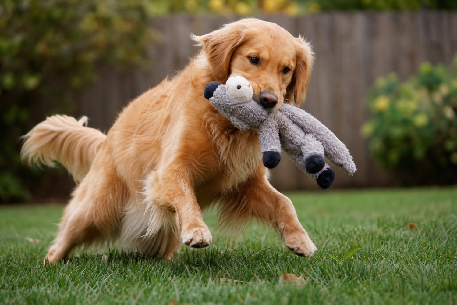 Why Dogs Shake Their Toys: The Science Behind Playful Pouncing